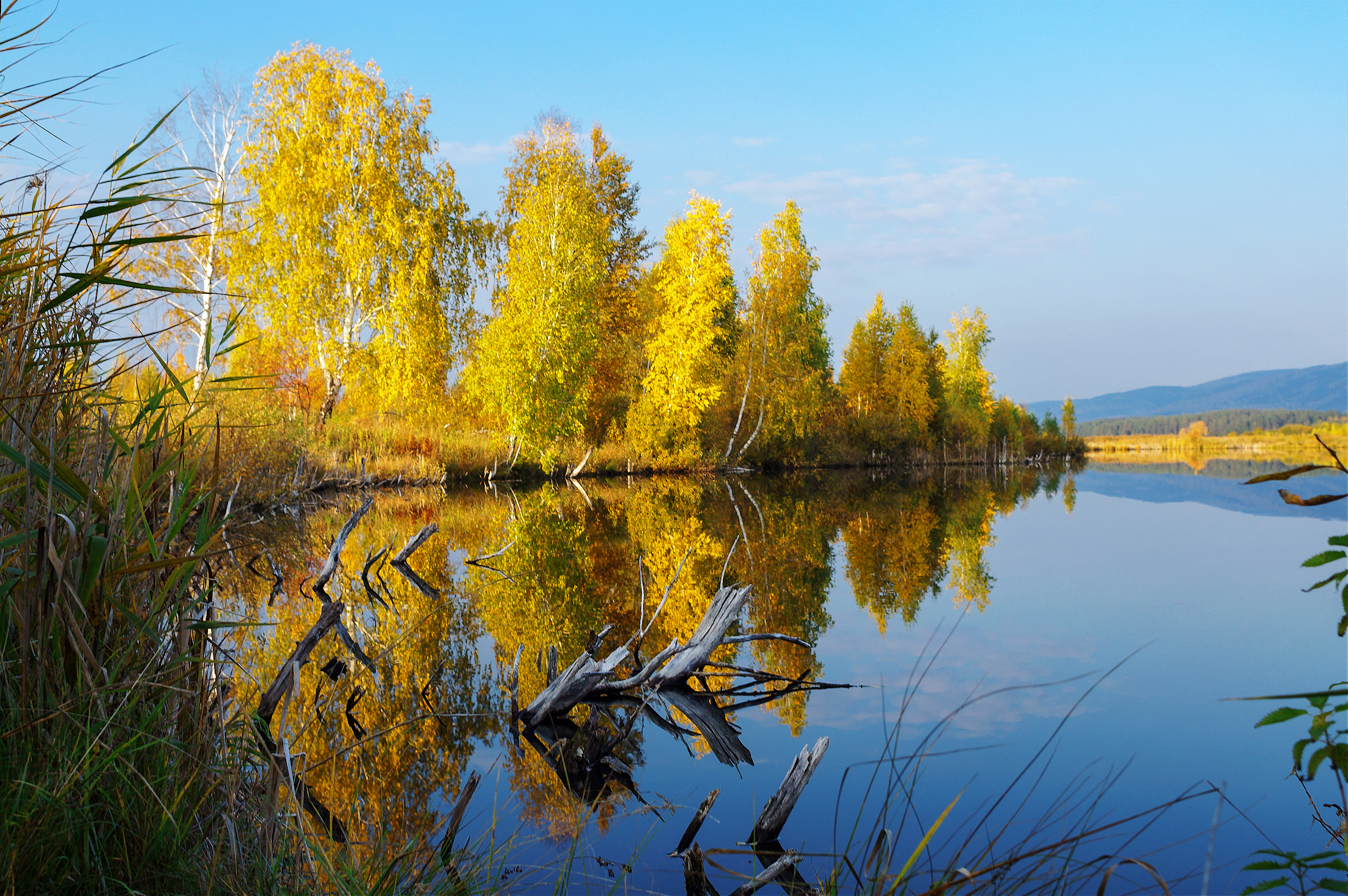 sony nex 5n +zuiko 28/2, Дмитрий Цыпляев