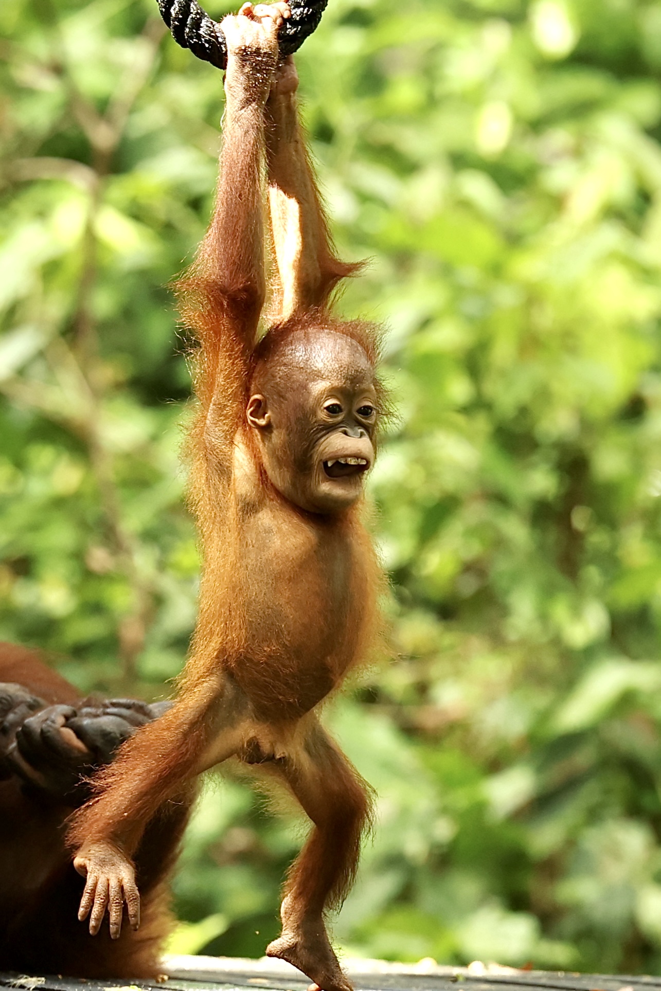 , Голубков Леонид