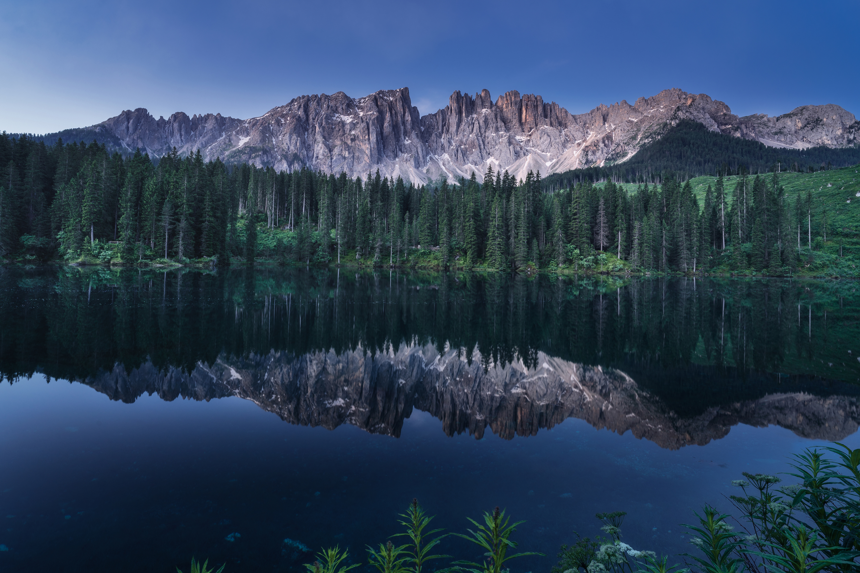 , Вукотић Никола