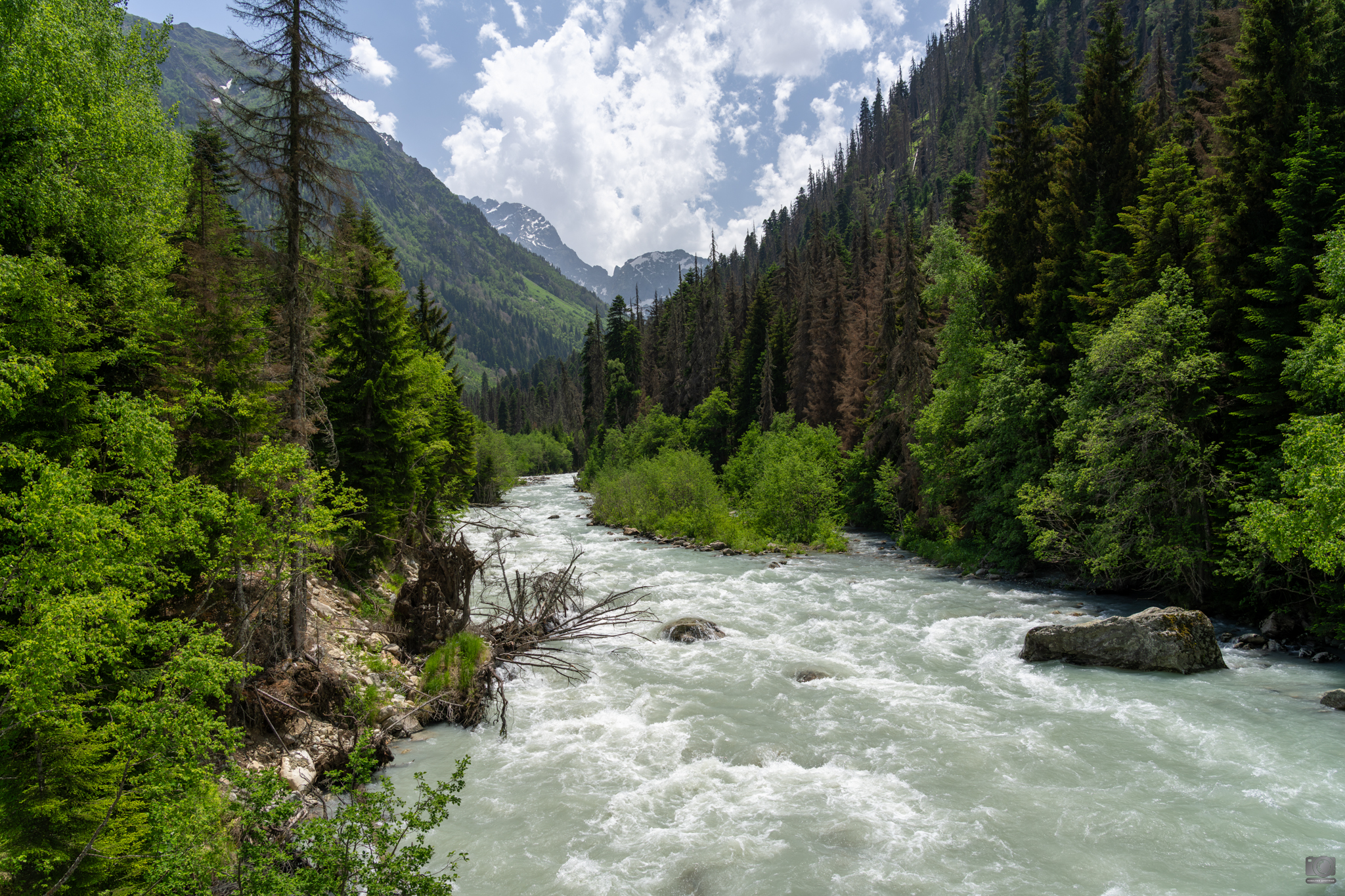 кавказ, Ковалев Дмитрий