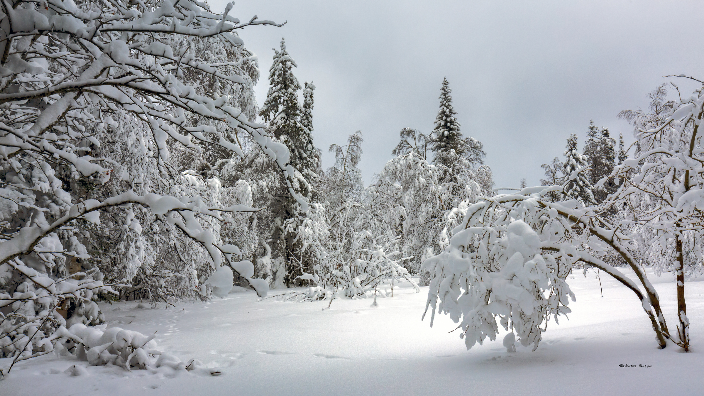 , Евдокимов Сергей