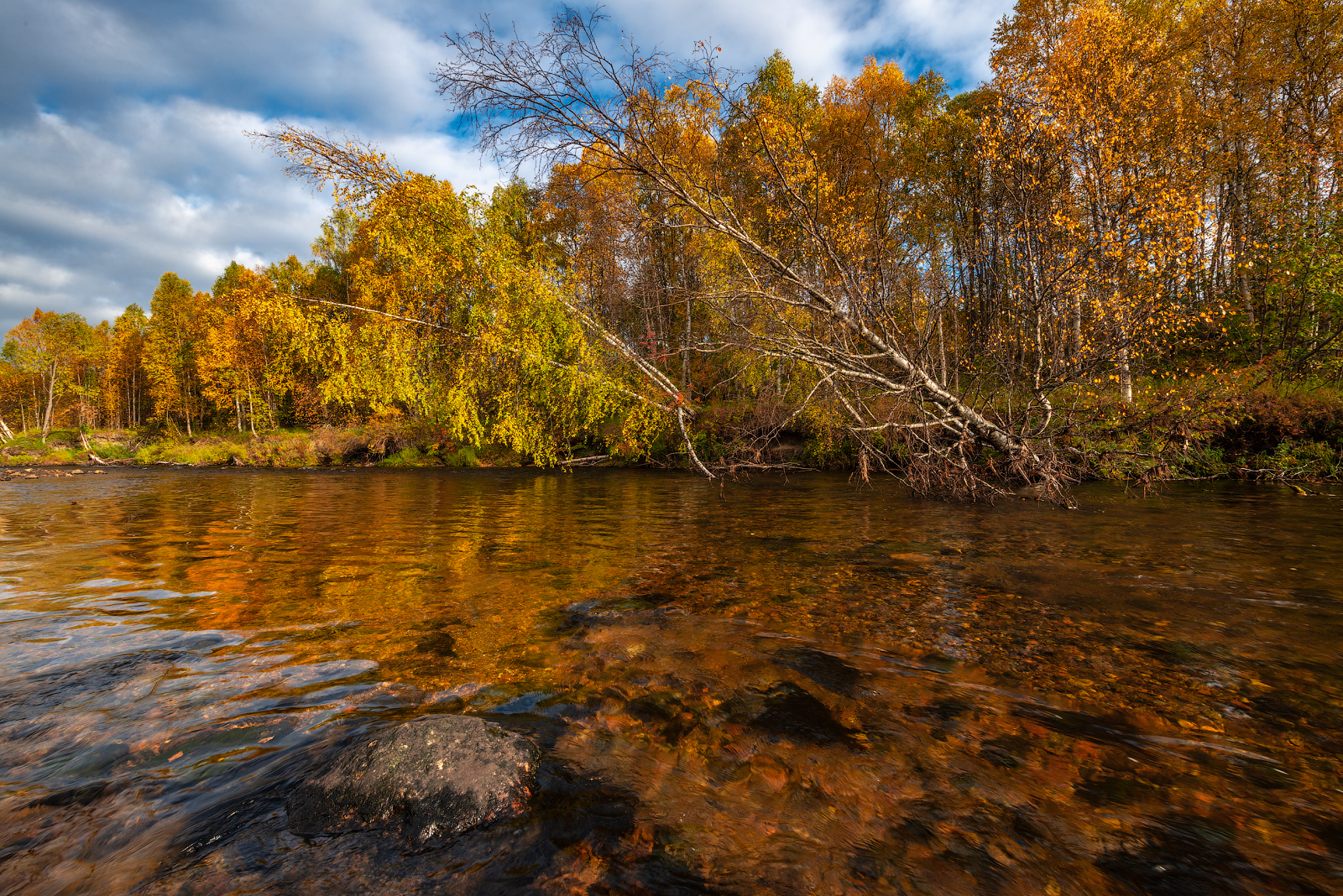 север, кольский, заполярье,, Роман Горячий