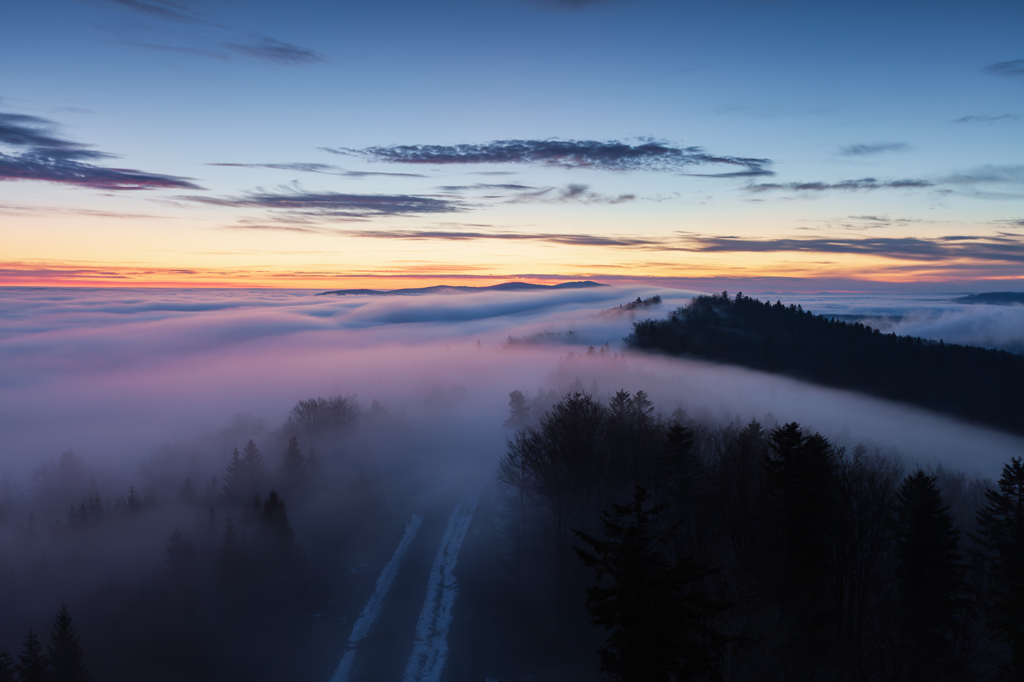 ,  Mirosław Pruchnicki