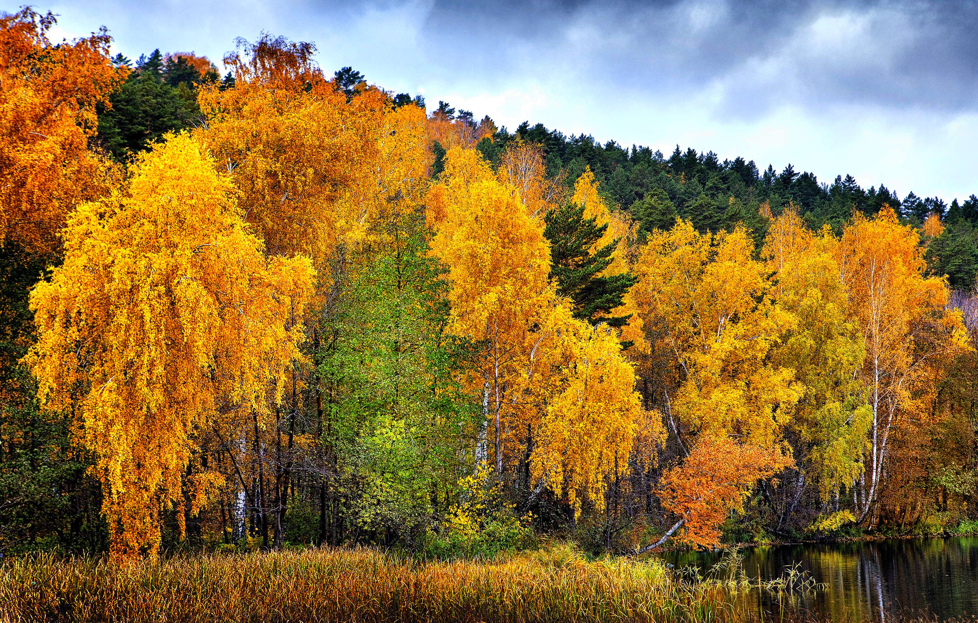 , Ушаков Валерий