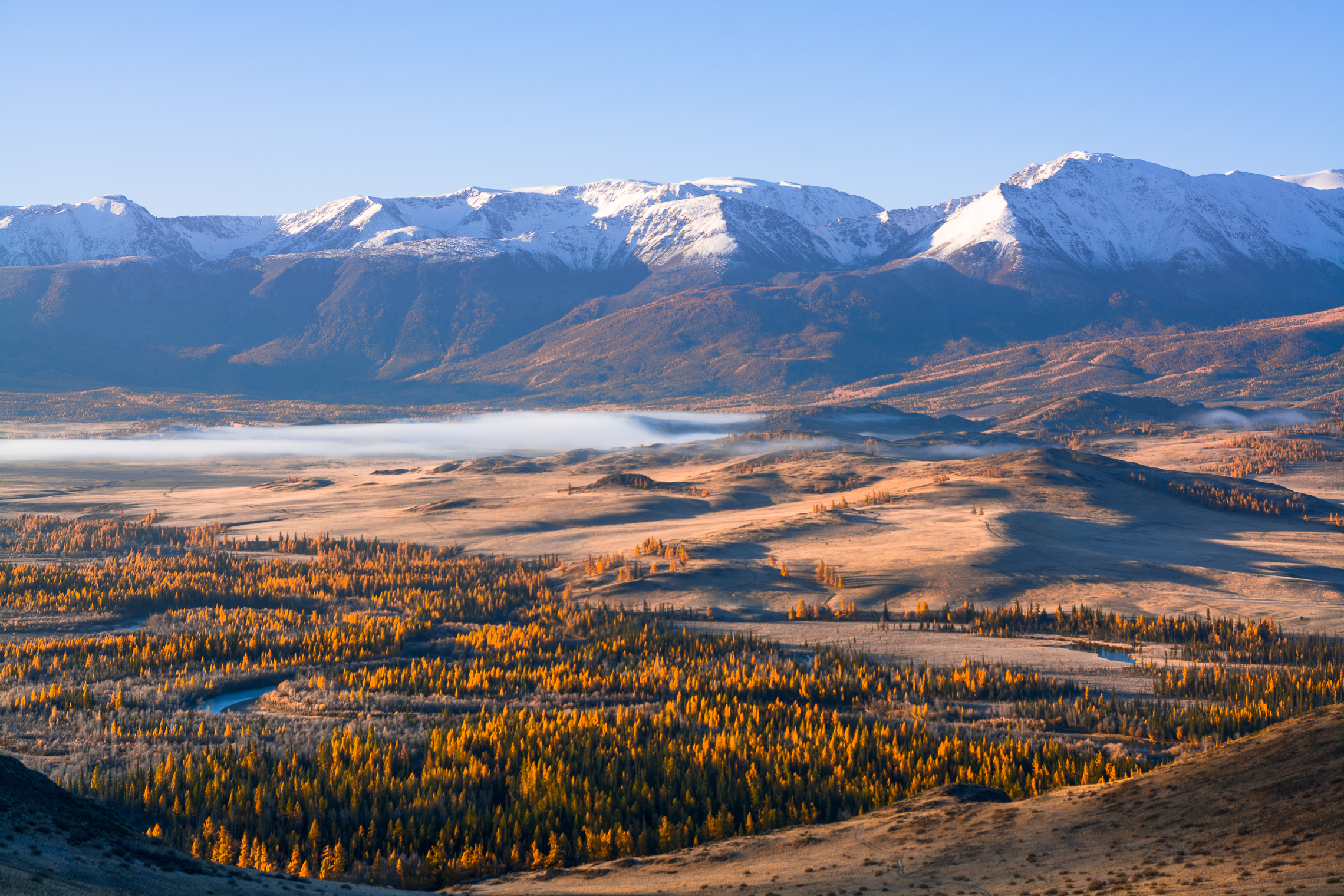 россия, горный алтай,осень,утро, Андрей Поляков