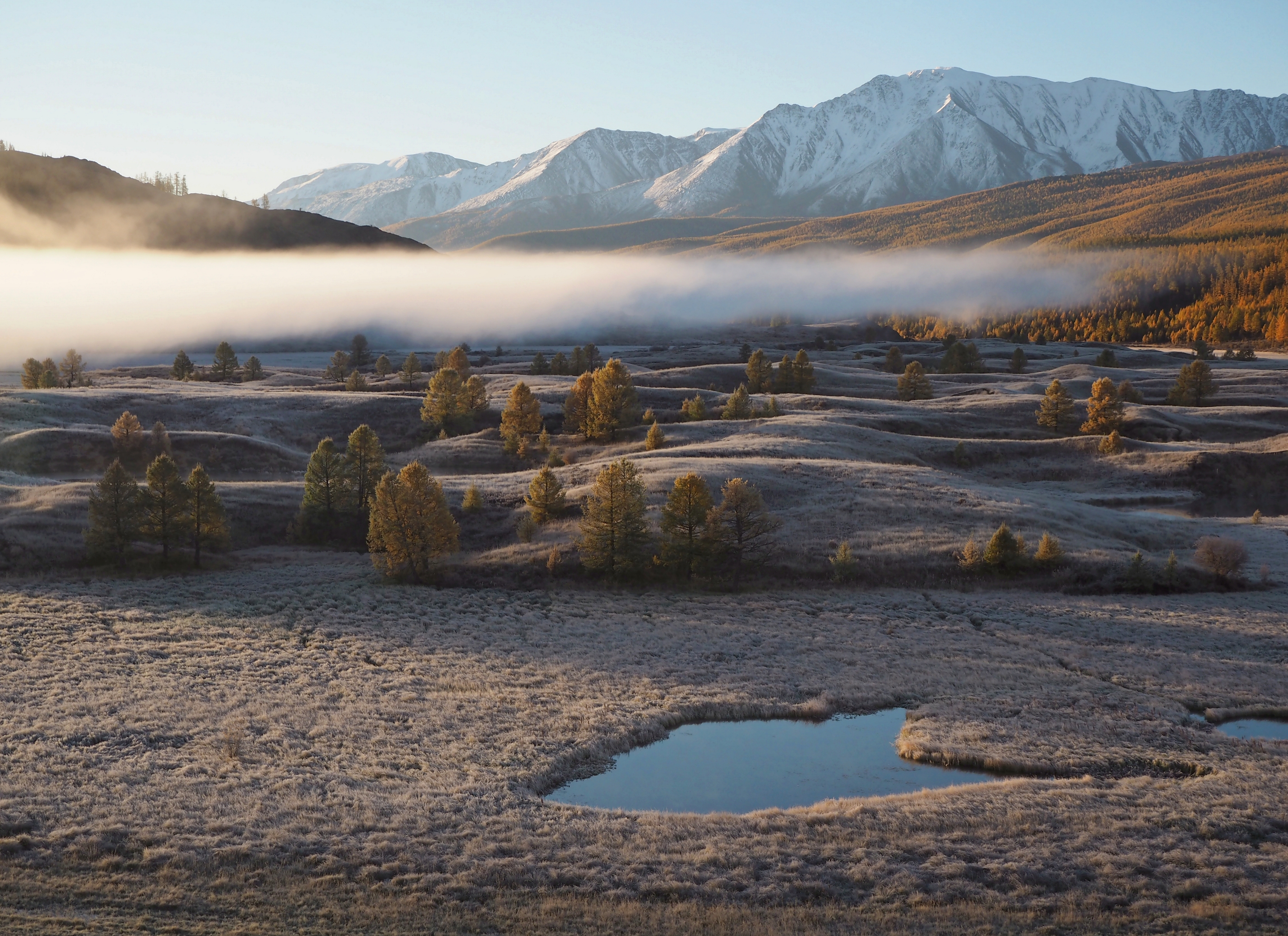 , Яковлев Евгений