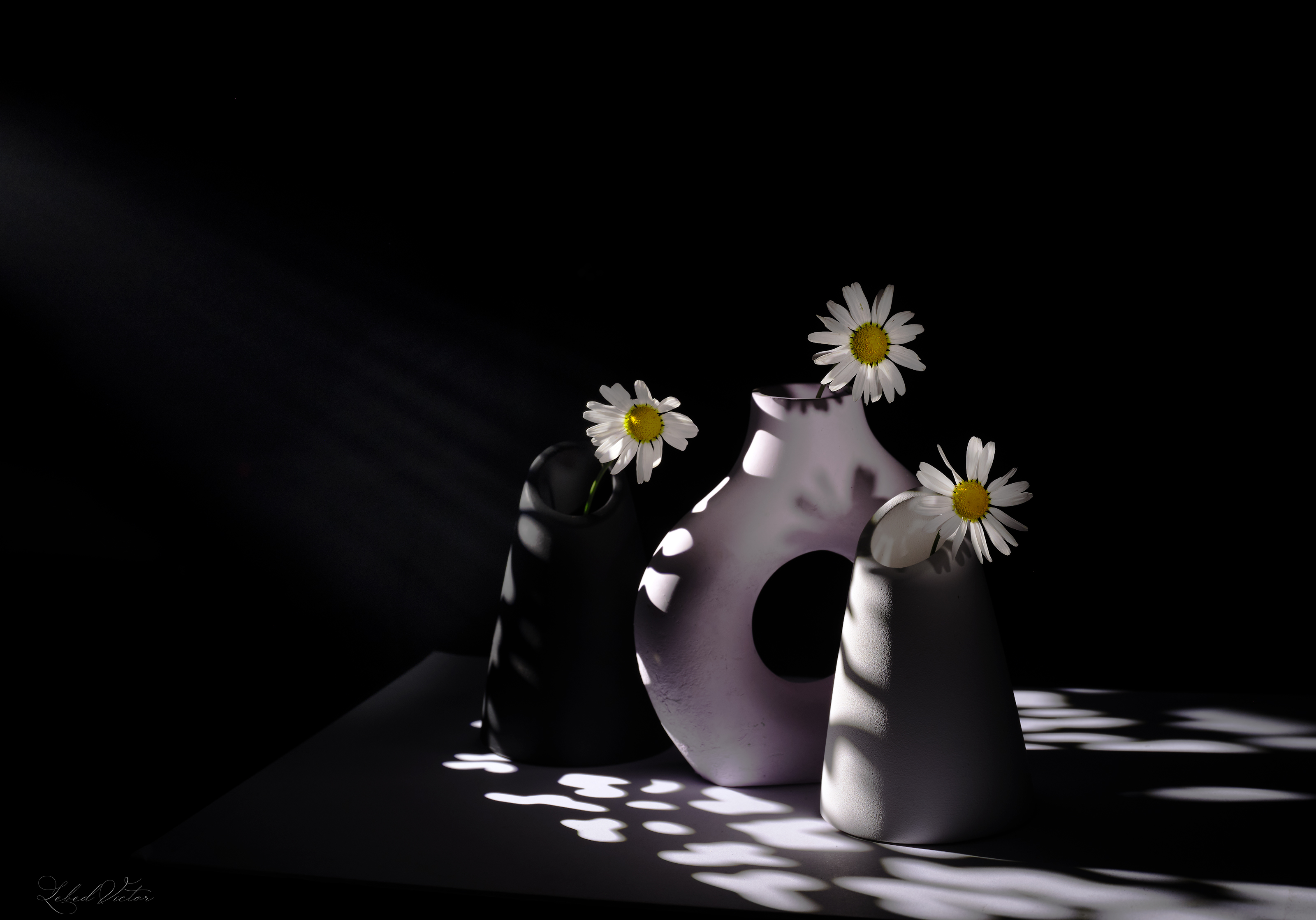 , Виктор Лебедь