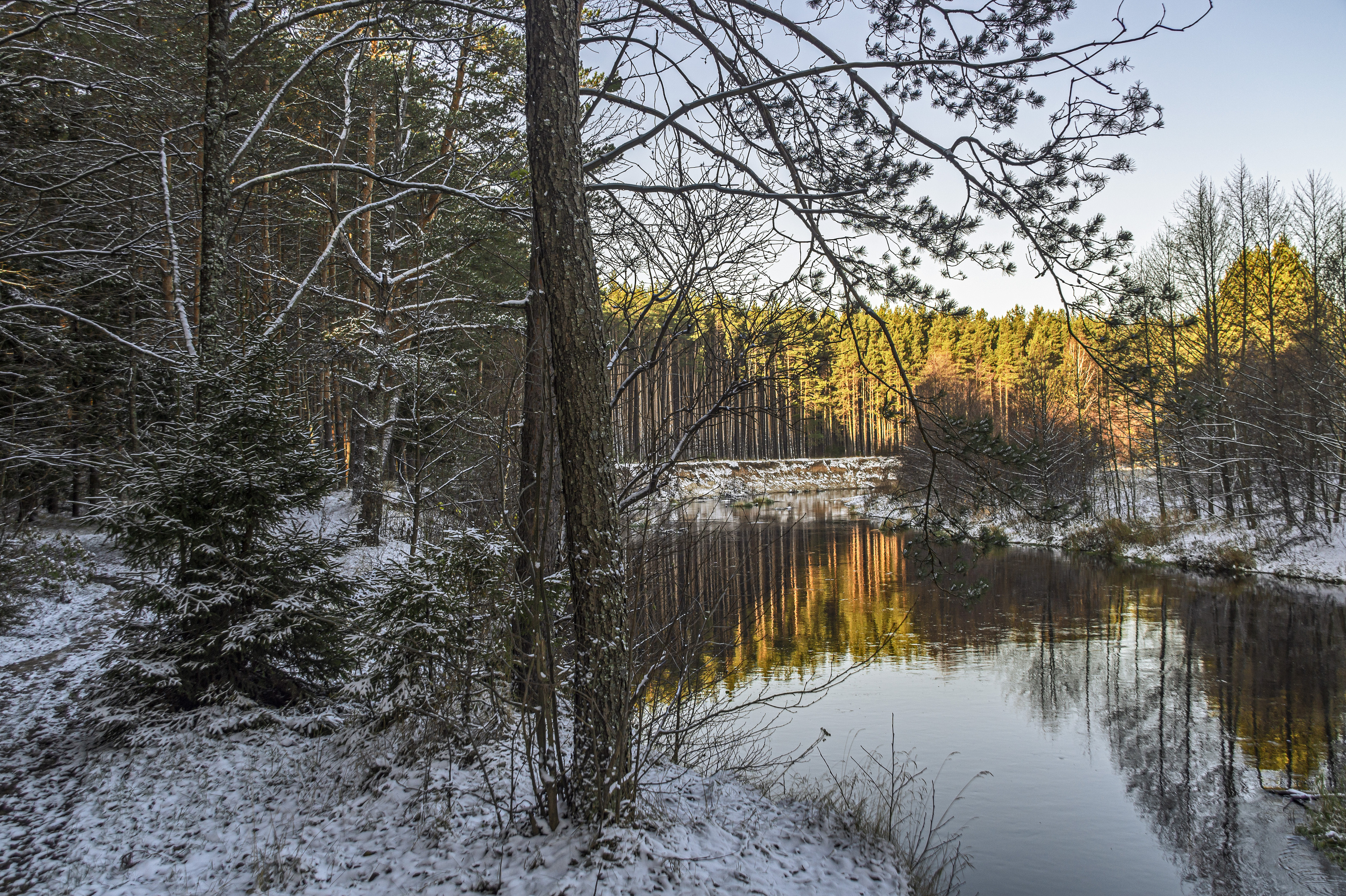 , Шитов Александр