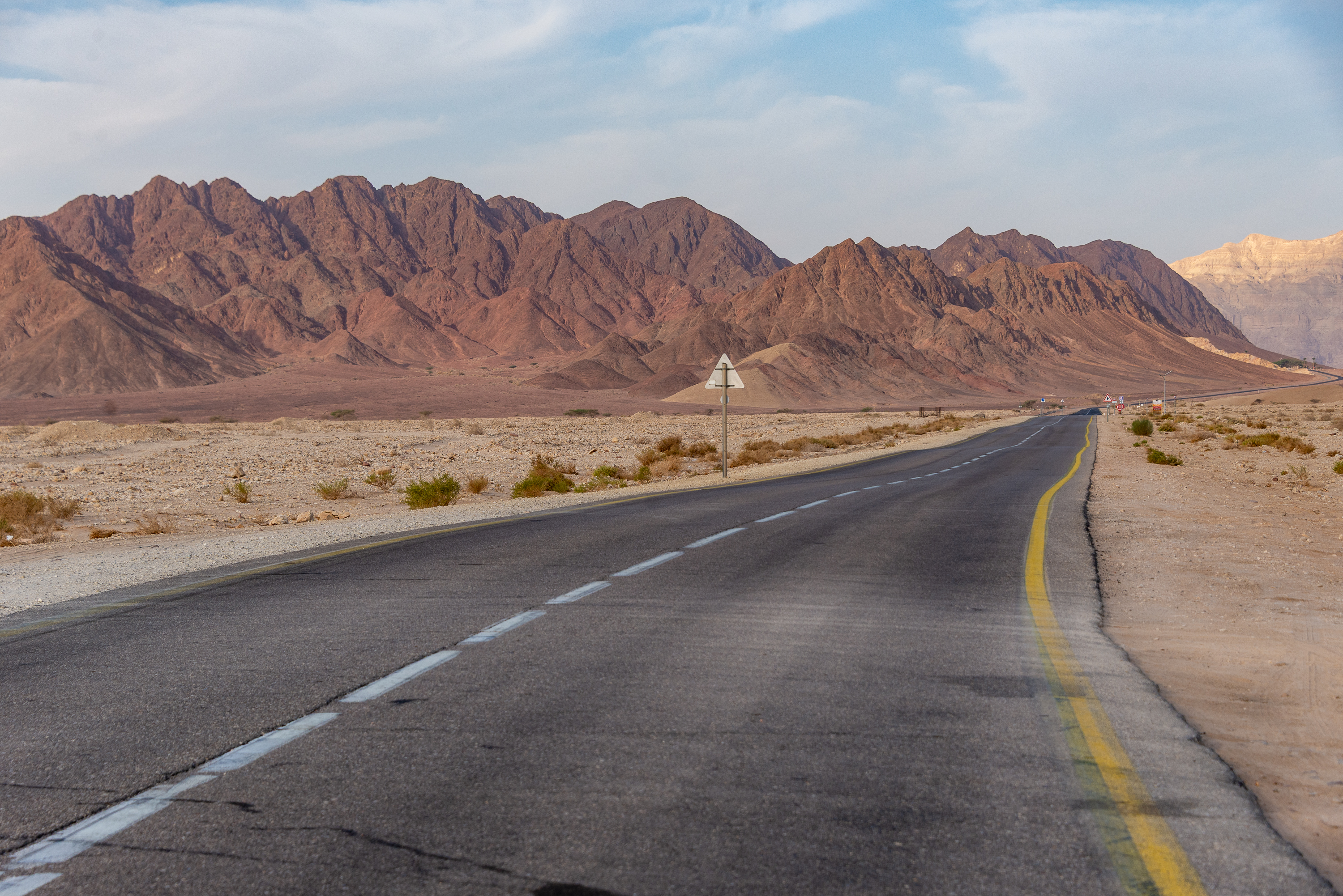 , Vladimir Bragilevsky