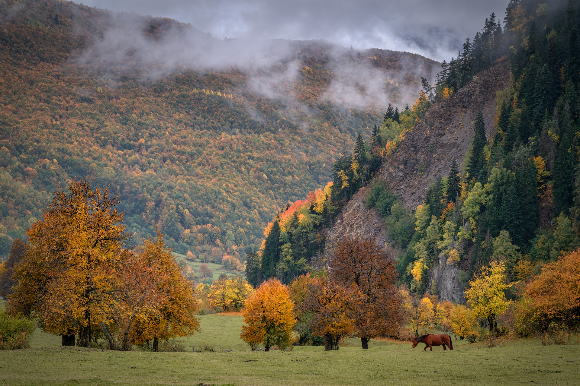 mazeri, becho, fall, autumn, trees, yellow, red, horse, leaves, svaneti, mountains, clouds, sky, nature, landscape, scenery, travel, outdoors, georgia, sakartvelo, chizh, Чиж Андрей
