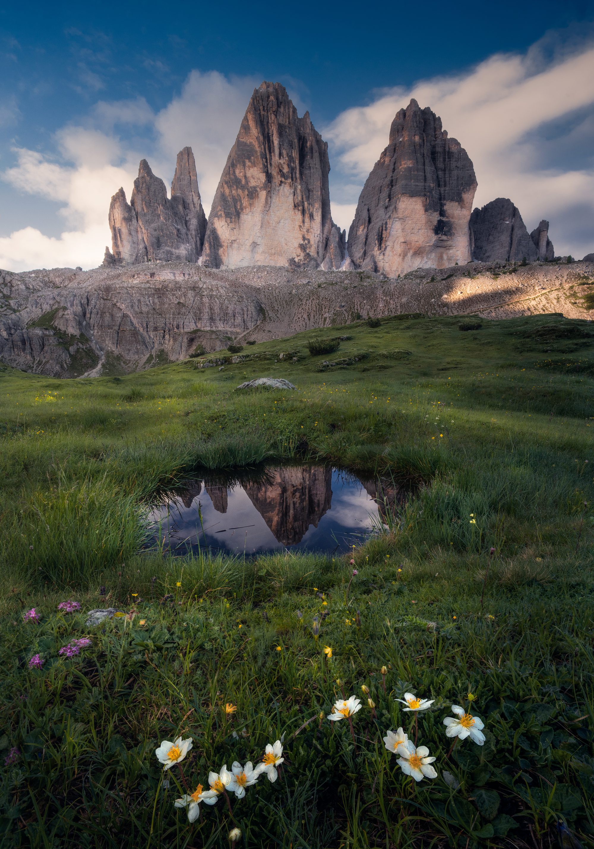 , Вукотић Никола