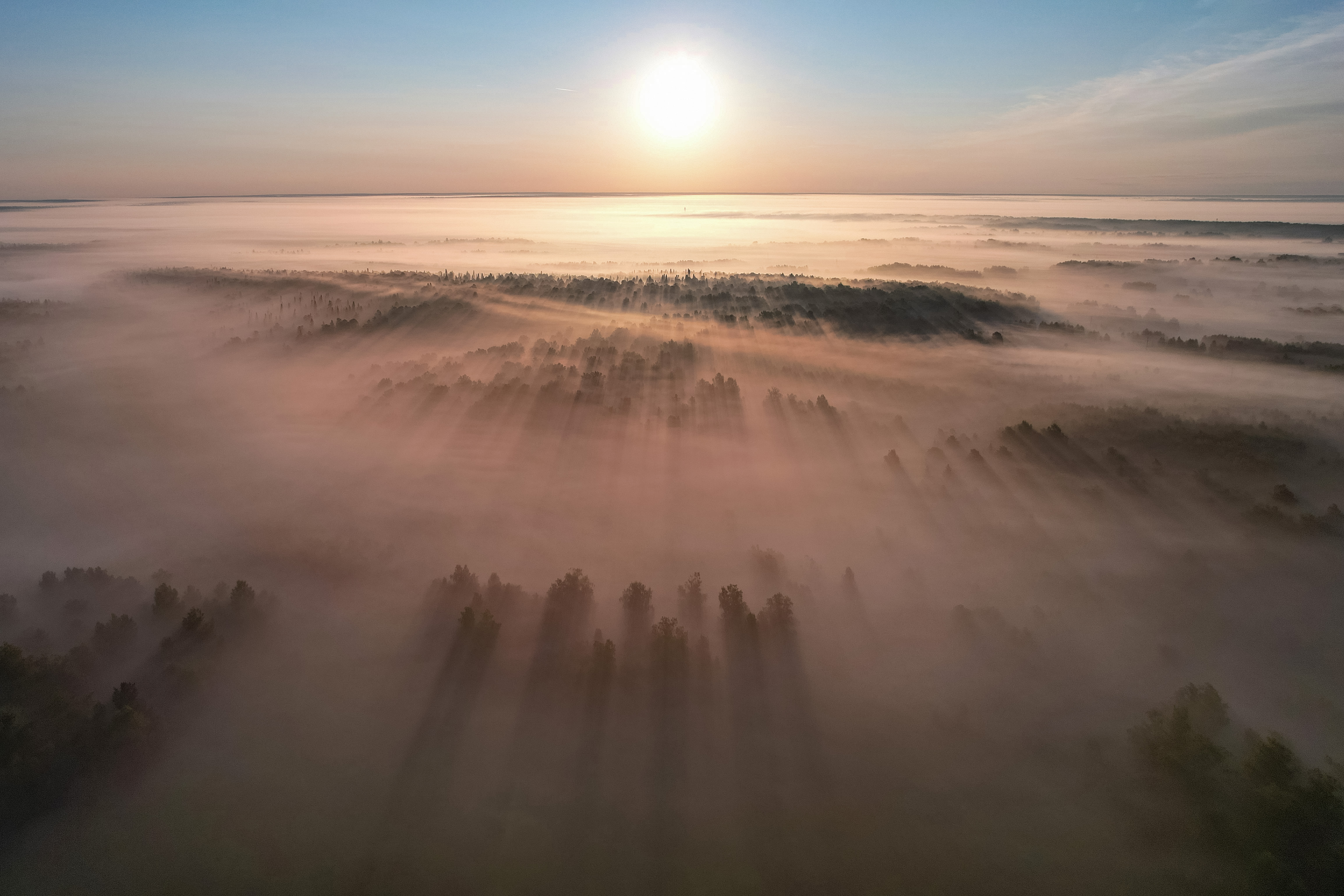 , Константин Буркин