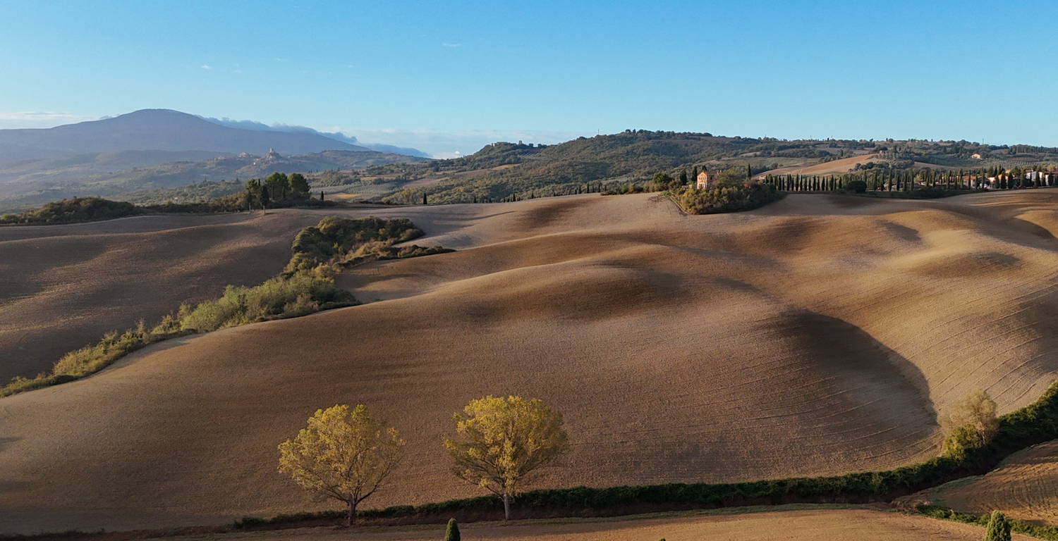 , Дария Максимова