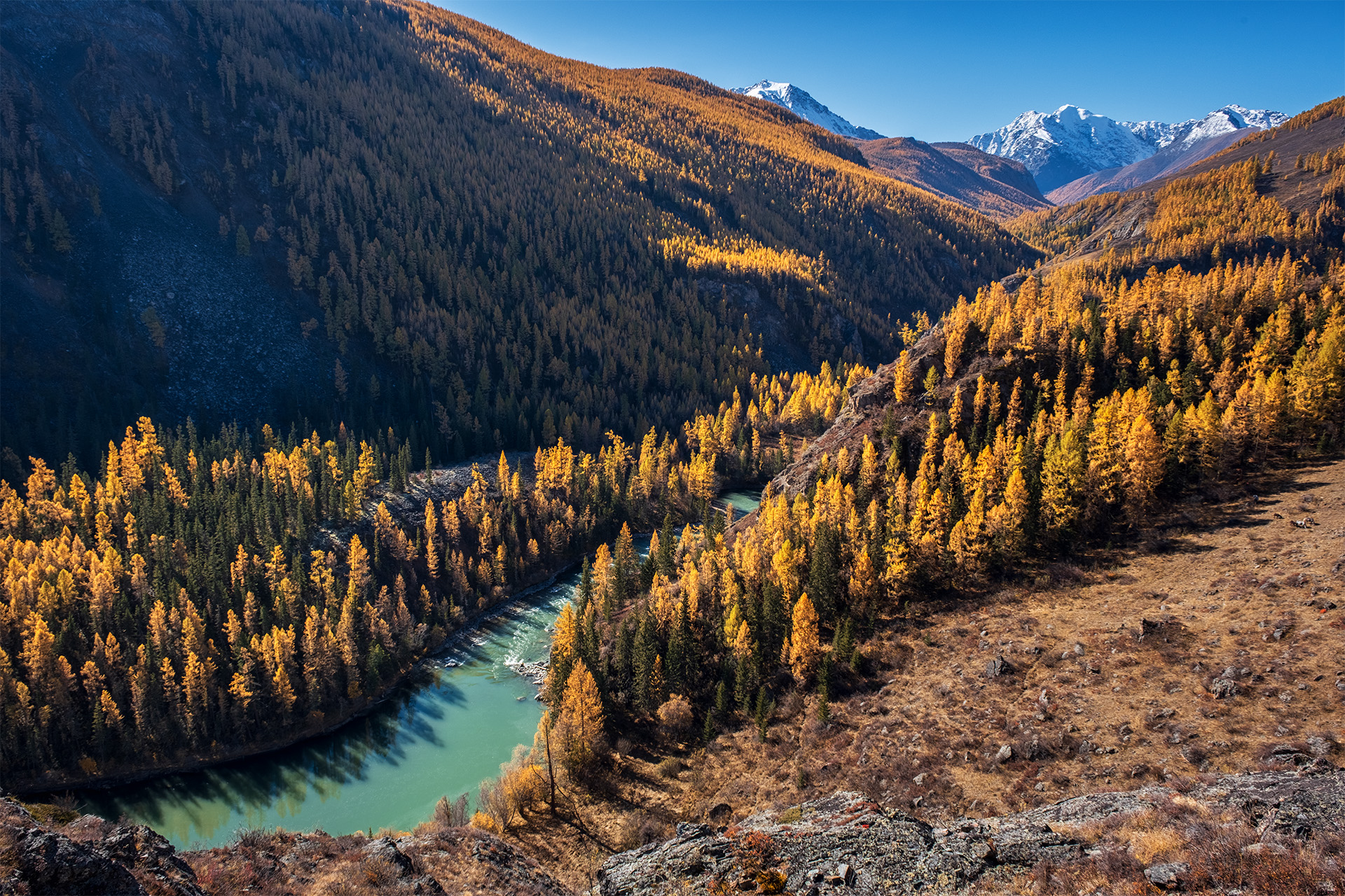 , Бодрягин Виталий