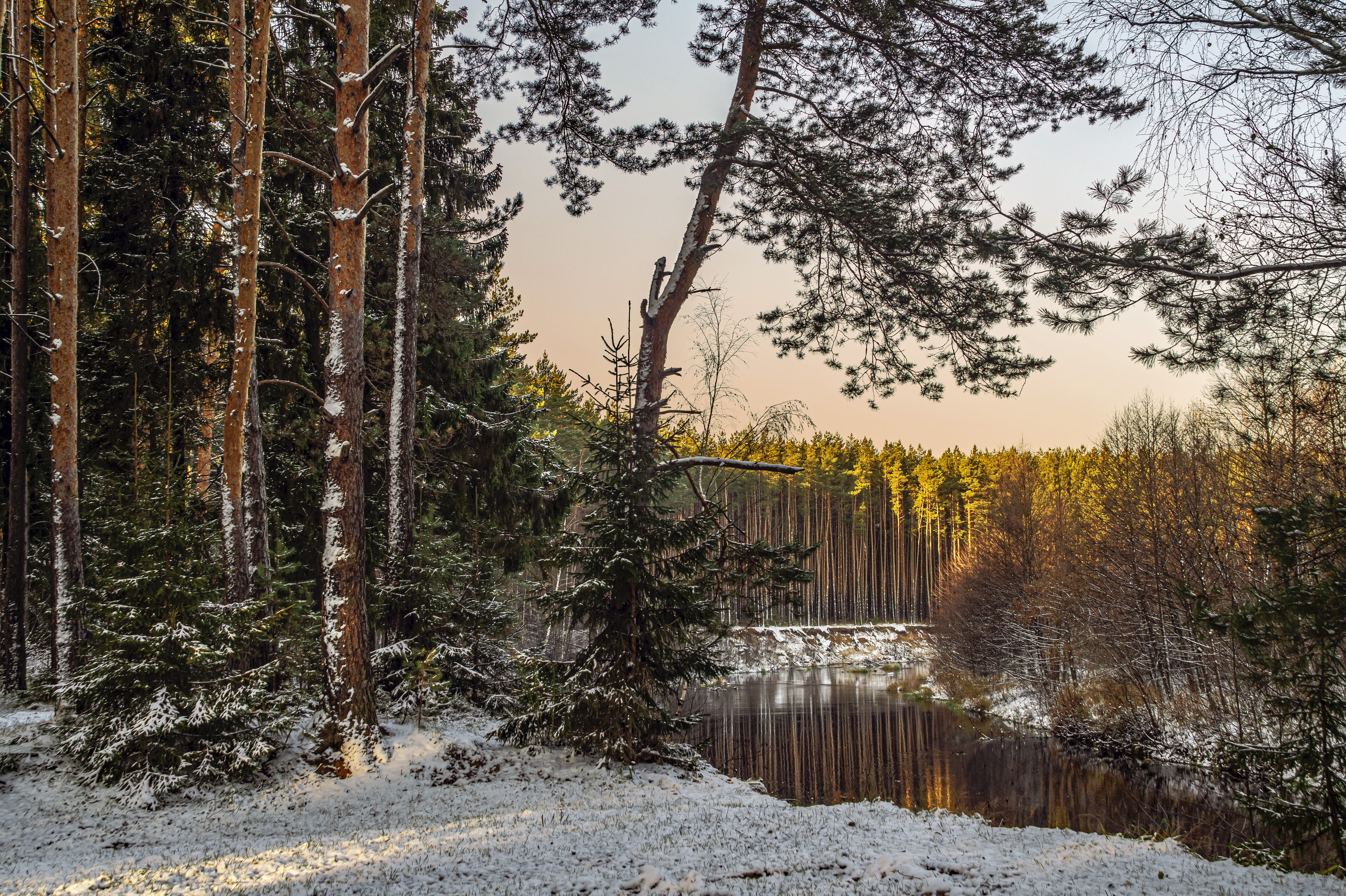 , Шитов Александр