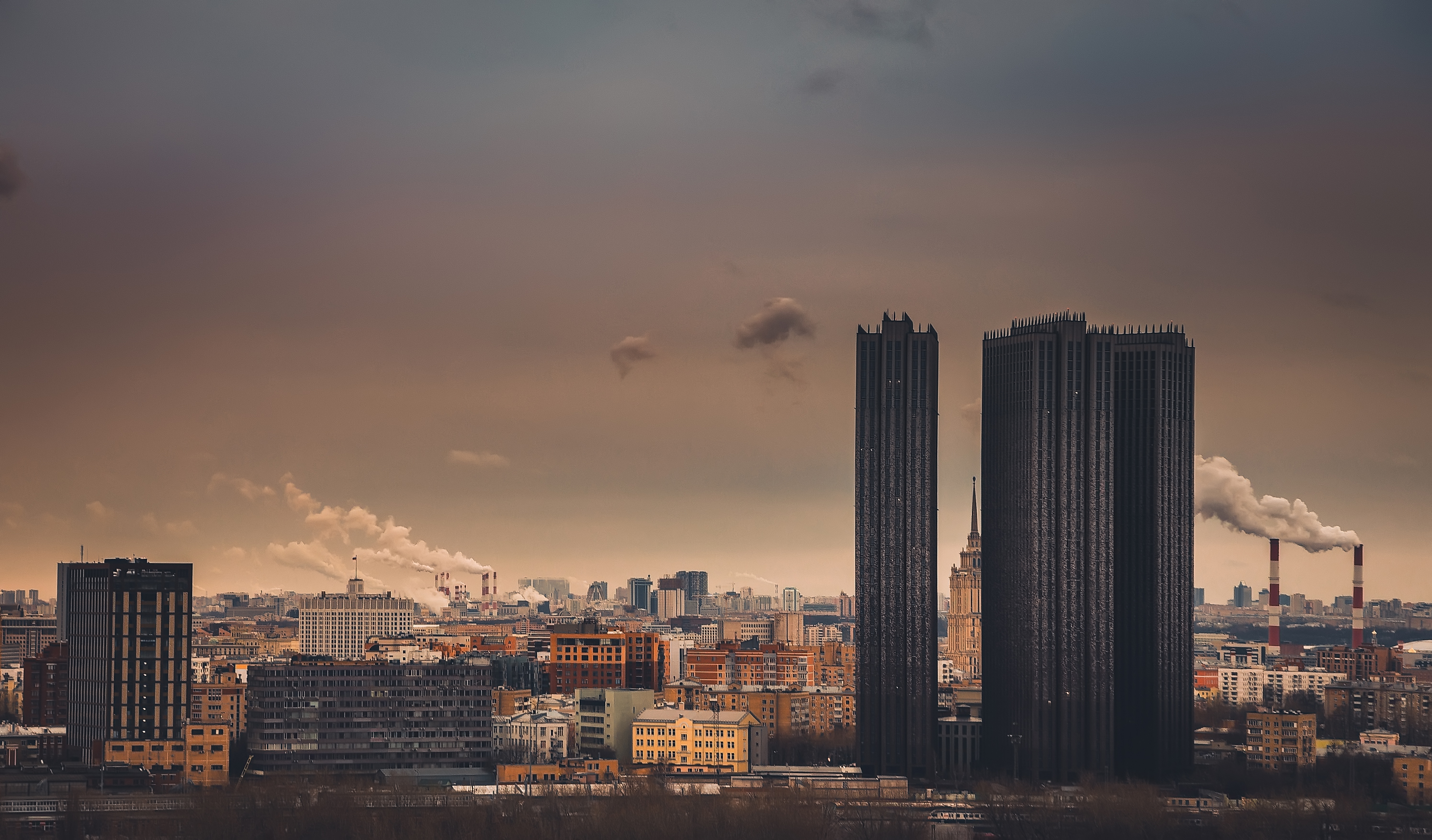 , Трепольский Дмитрий