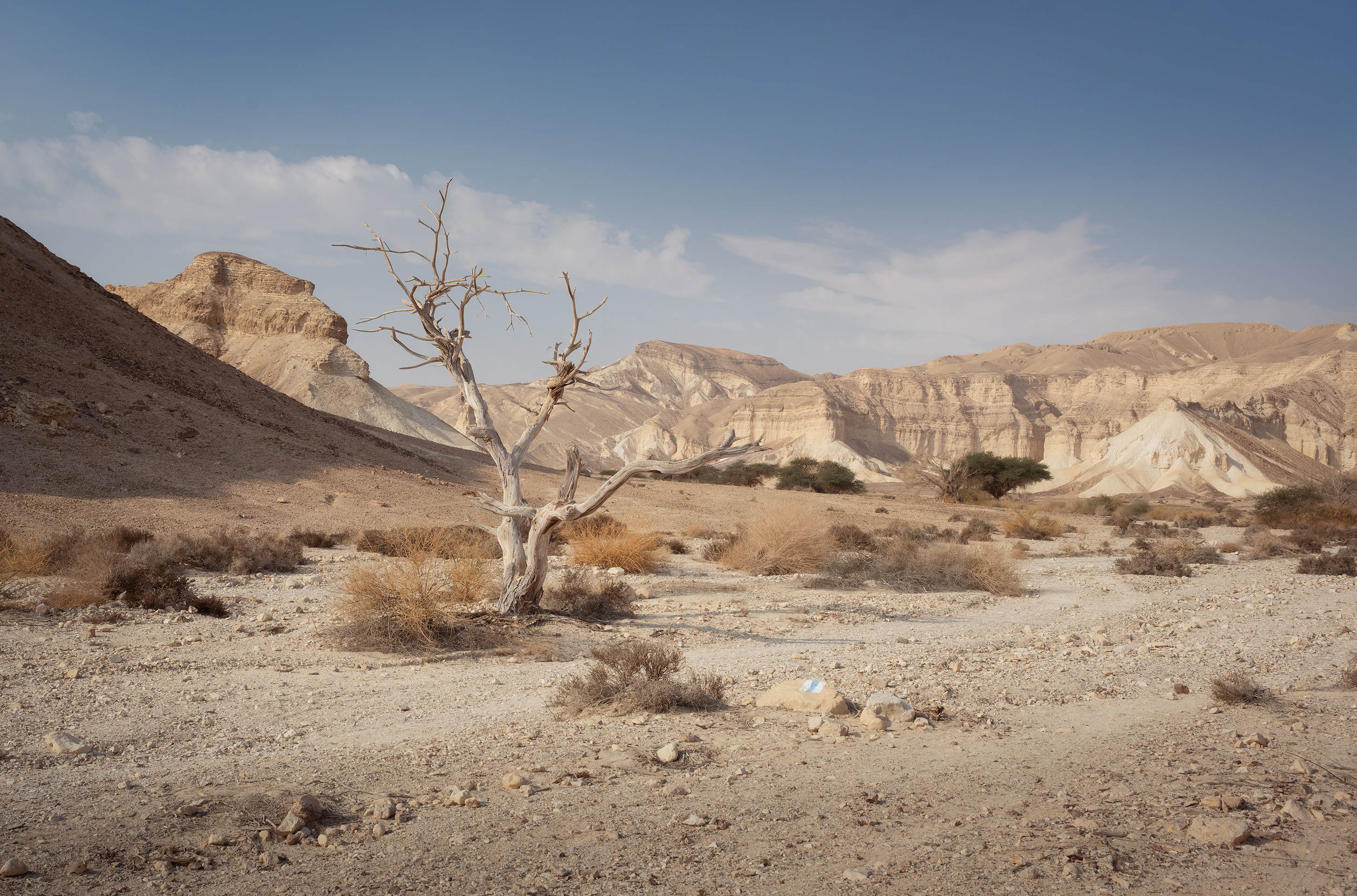 , Konstantin Kalinin