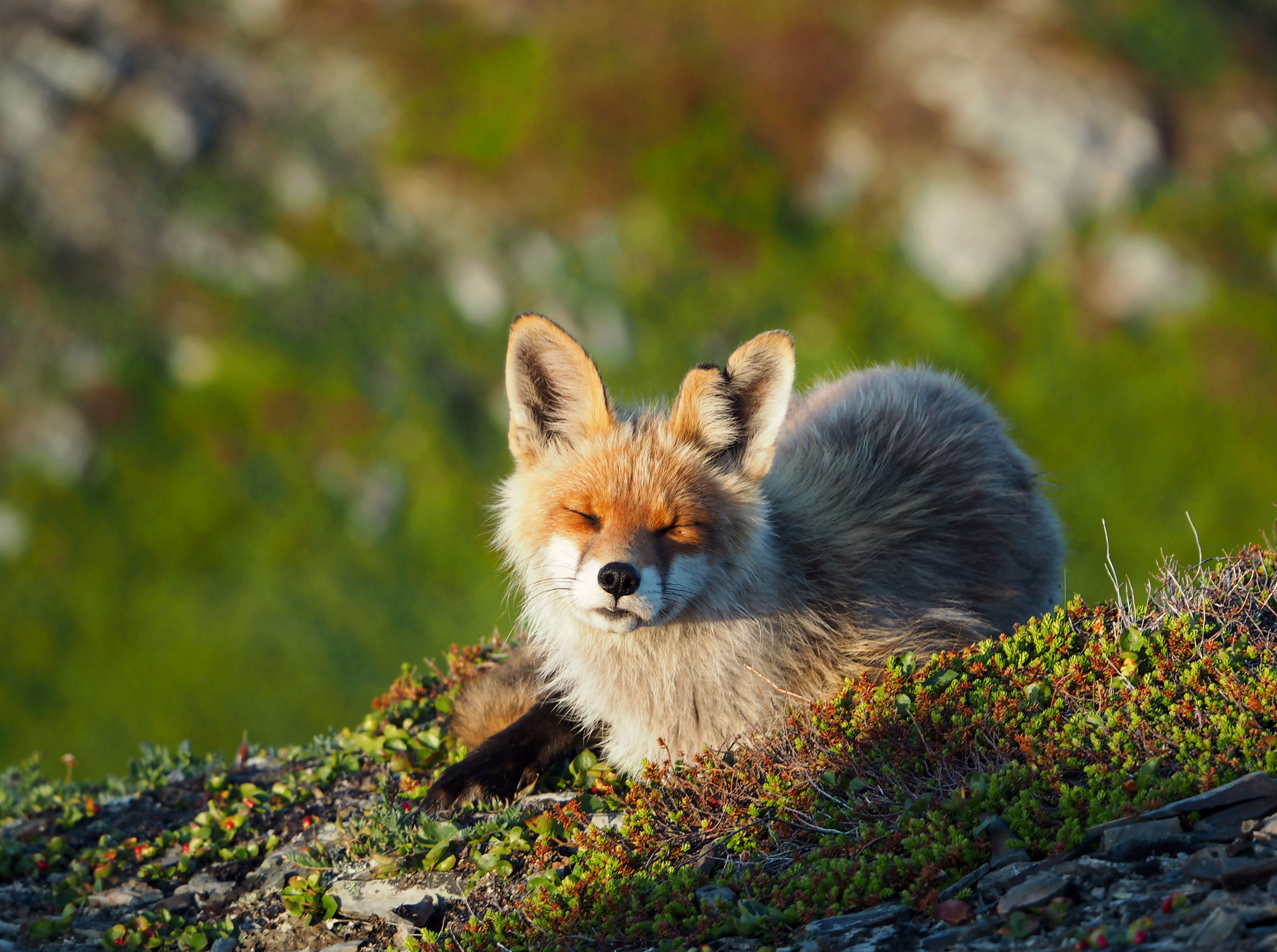 , Яковлев Евгений