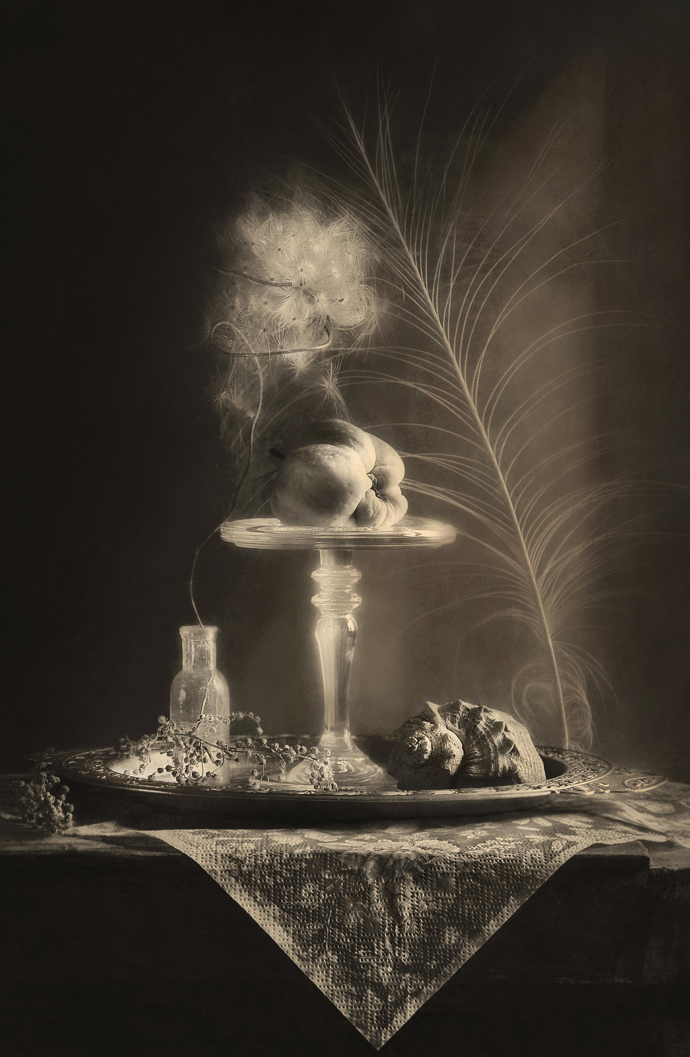 натюрморт, монохром, настроение, яблоко, still life, Буглак Инна