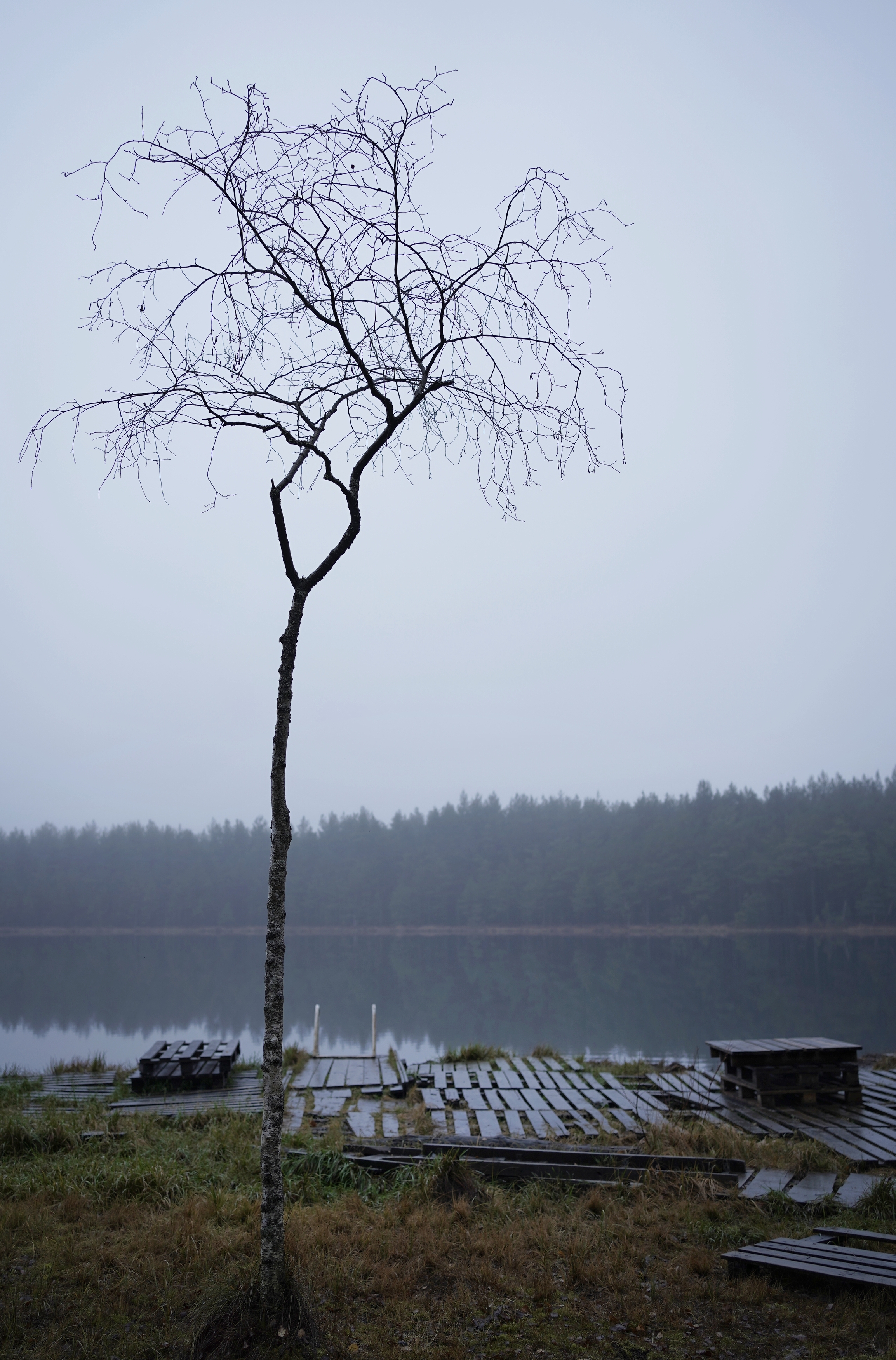 , Алёна Таланова