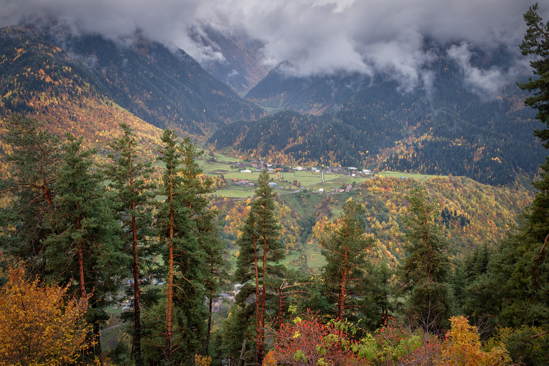 svaneti, zegani, village, mountains, autumn, fall, forest, peaks, snow, high, landscape, scenery, travel, outdoors, georgia, sakartvelo, caucasus, chizh, Чиж Андрей