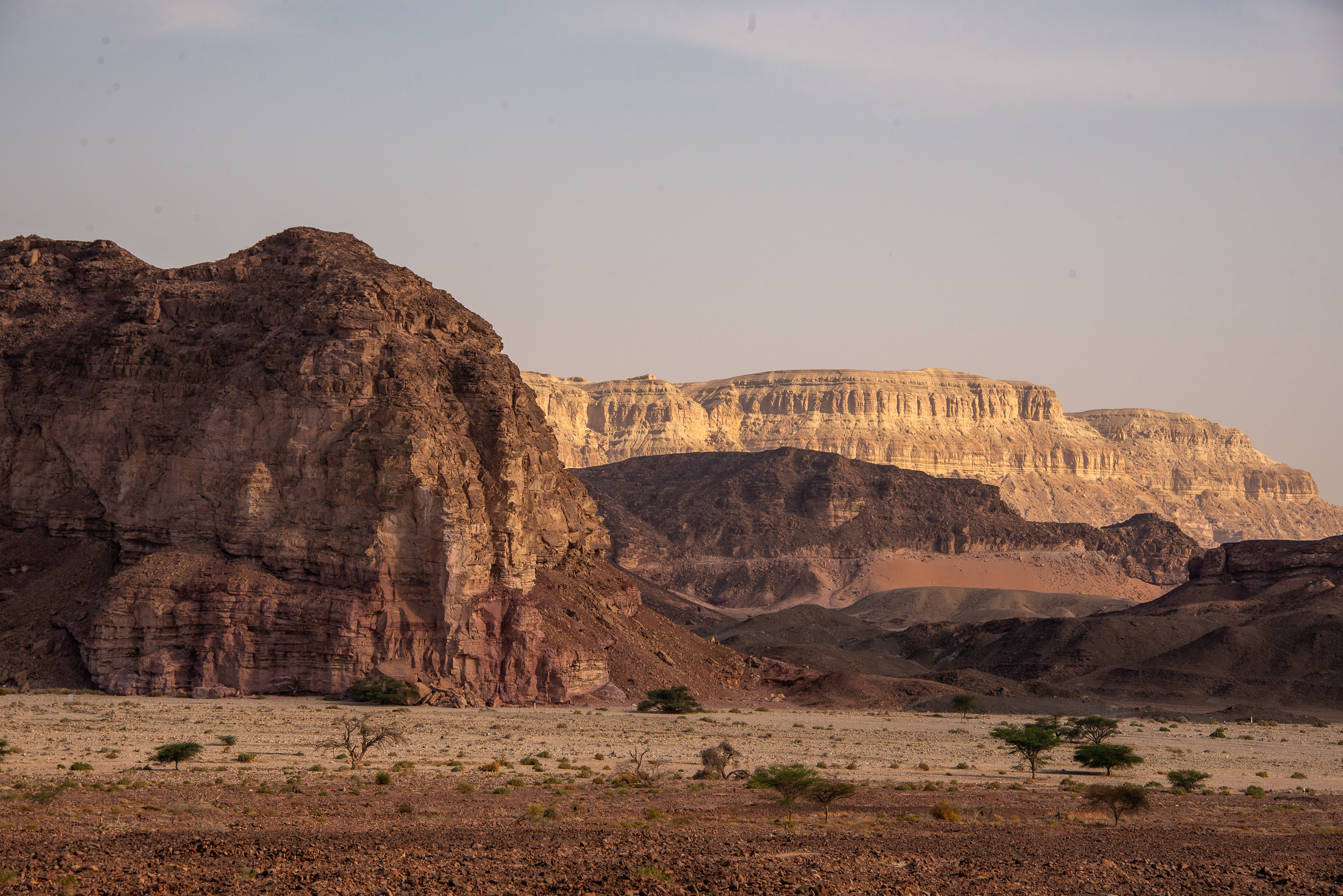 , Vladimir Bragilevsky