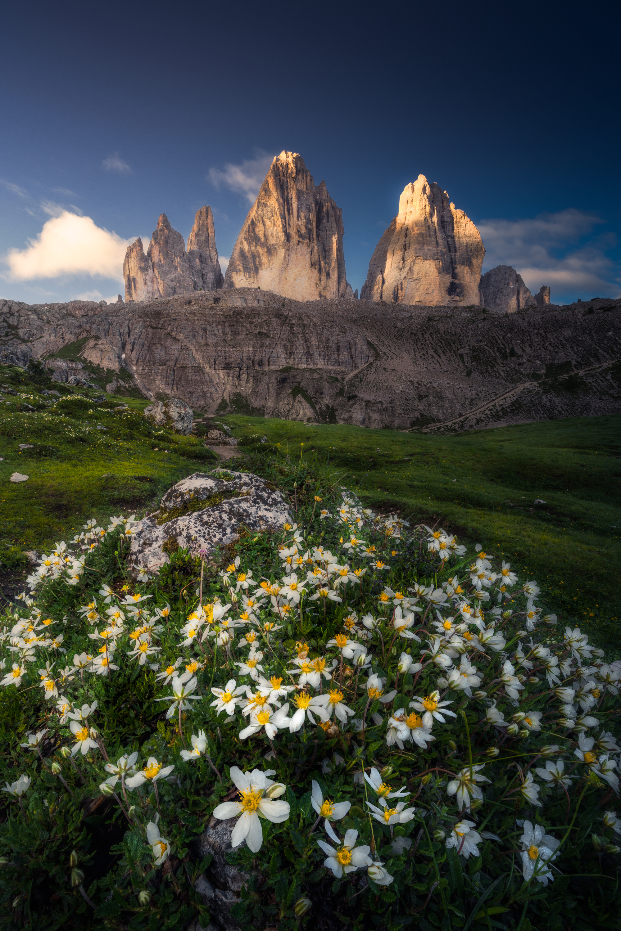 , Вукотић Никола