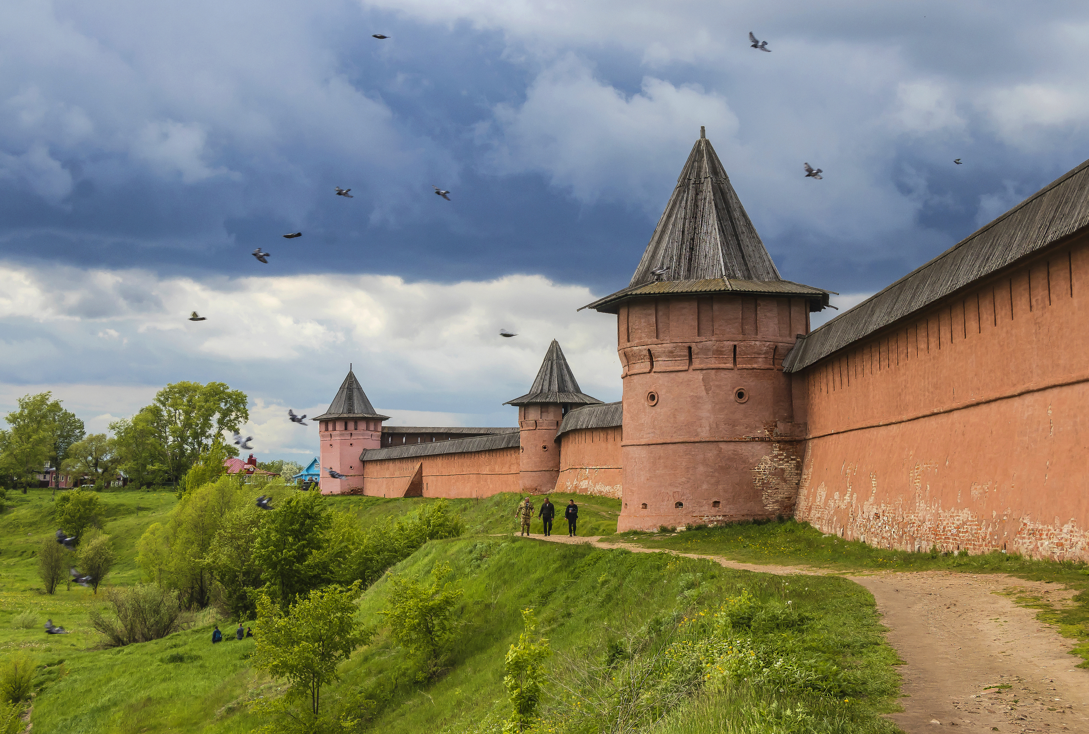 Суздаль, Спасо-Евфимиевский монастырь, галина новинская