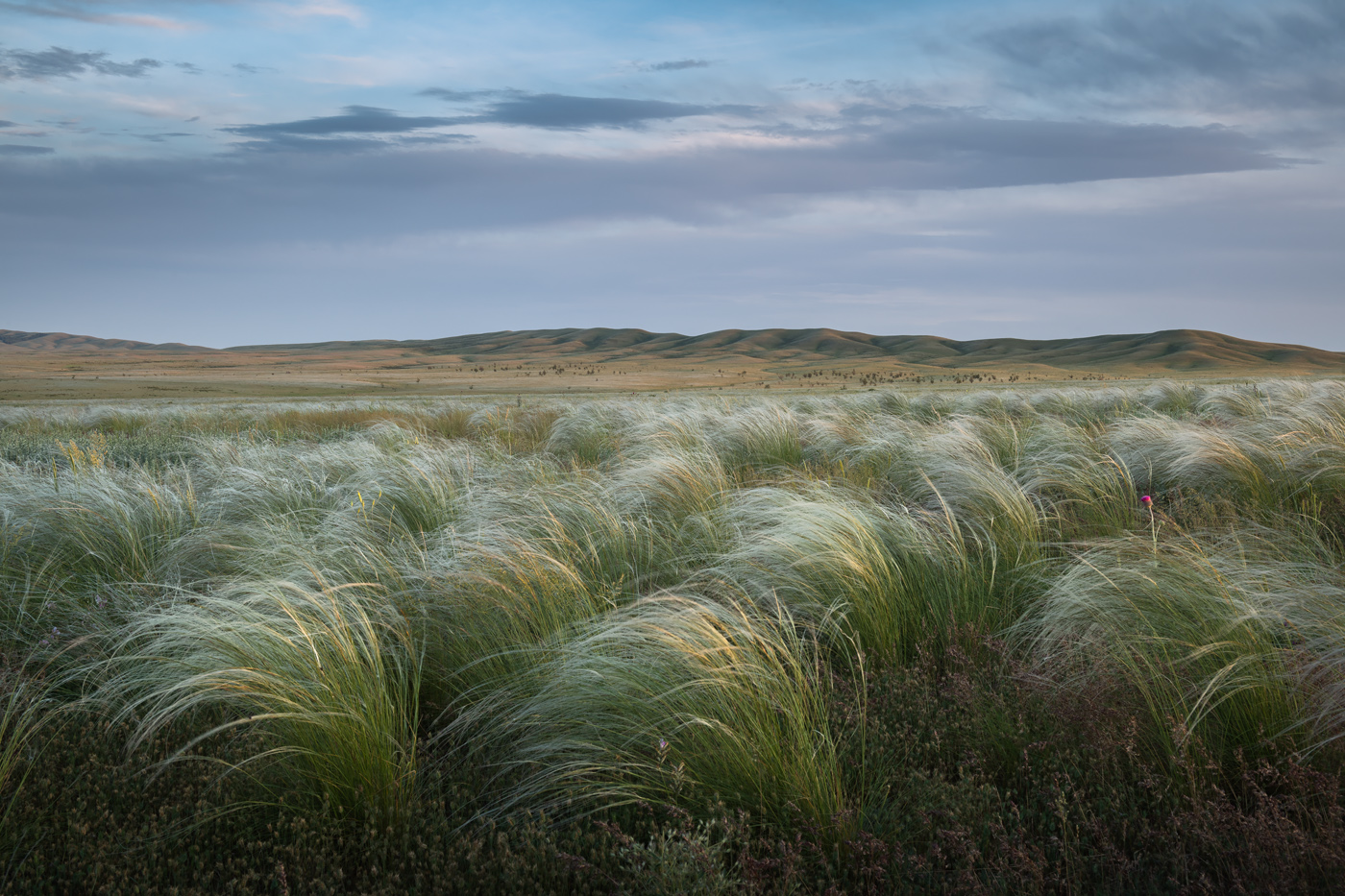 оренбуржье, долгие горы, урал, степь, степной пейзаж, оренбургская область, карамурунтау, ковыль, Арсений Кашкаров