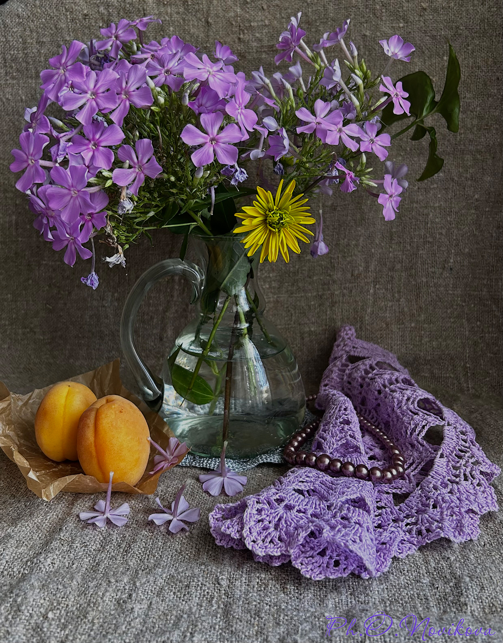 , Новикова Ольга