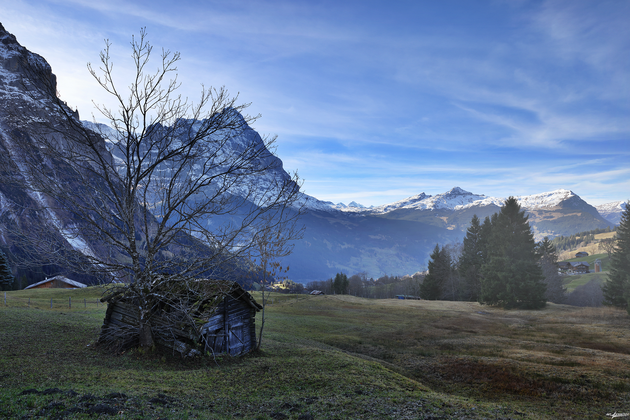 swiss, Матвеев Николай