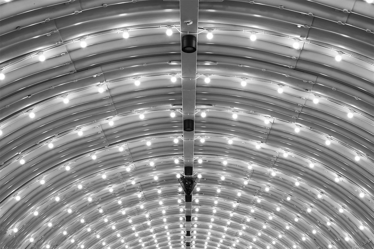 , Чудинин Дмитрий