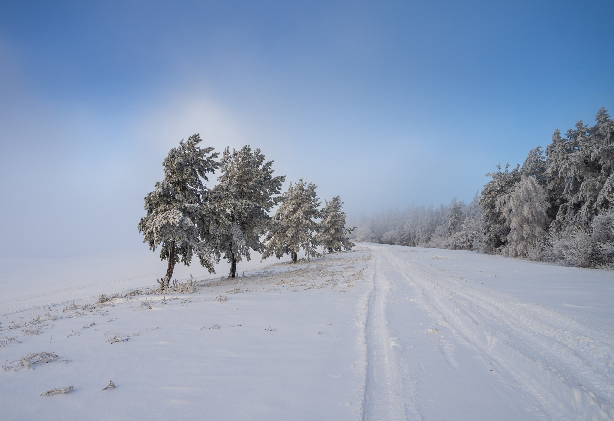 ,  Mirosław Pruchnicki
