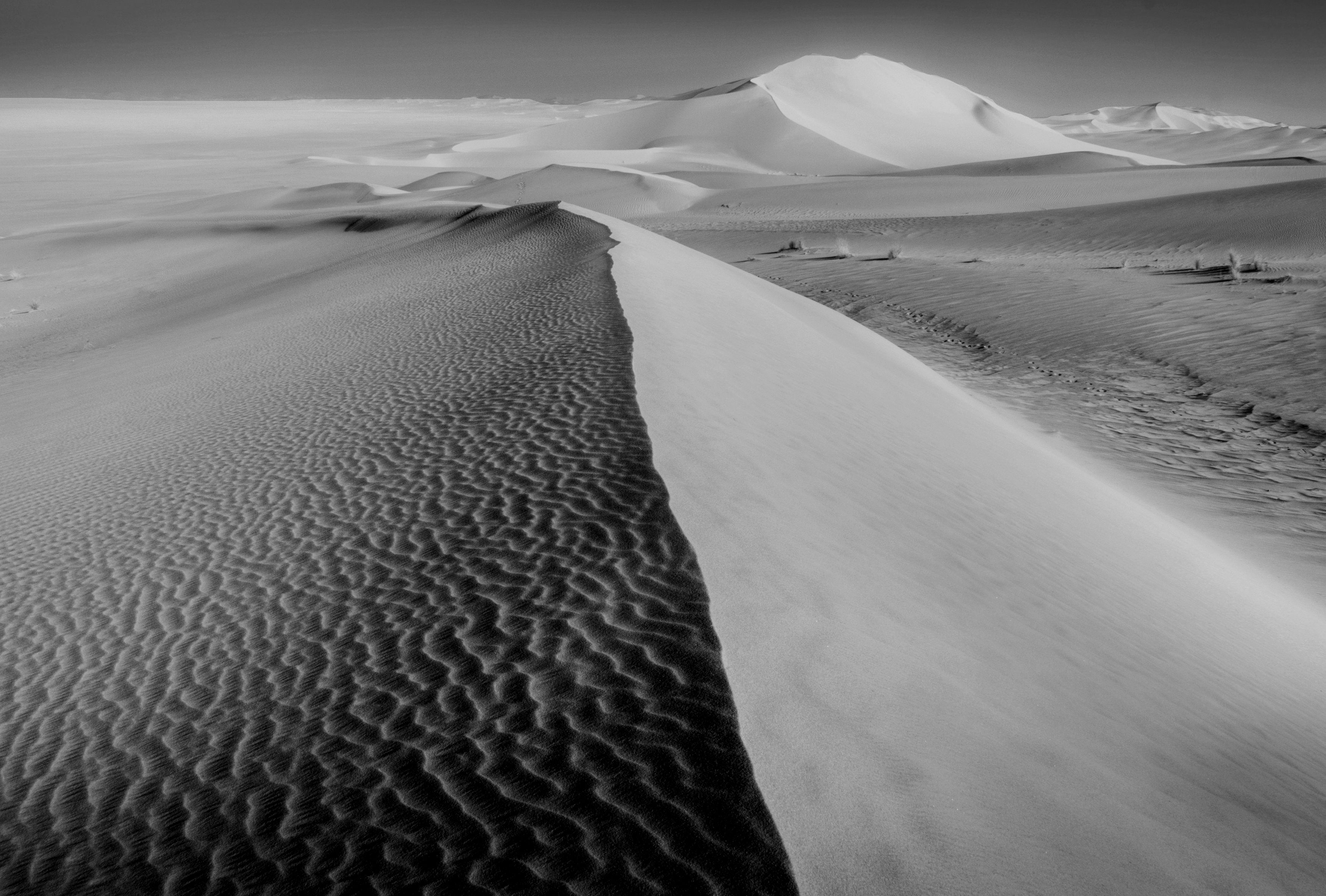 алжир, сахара, alger 2025, нд, пустыня, algeria, sahara, desert, тассилин-аджер, африка, дюны, черно-белое, Надежда Демкина