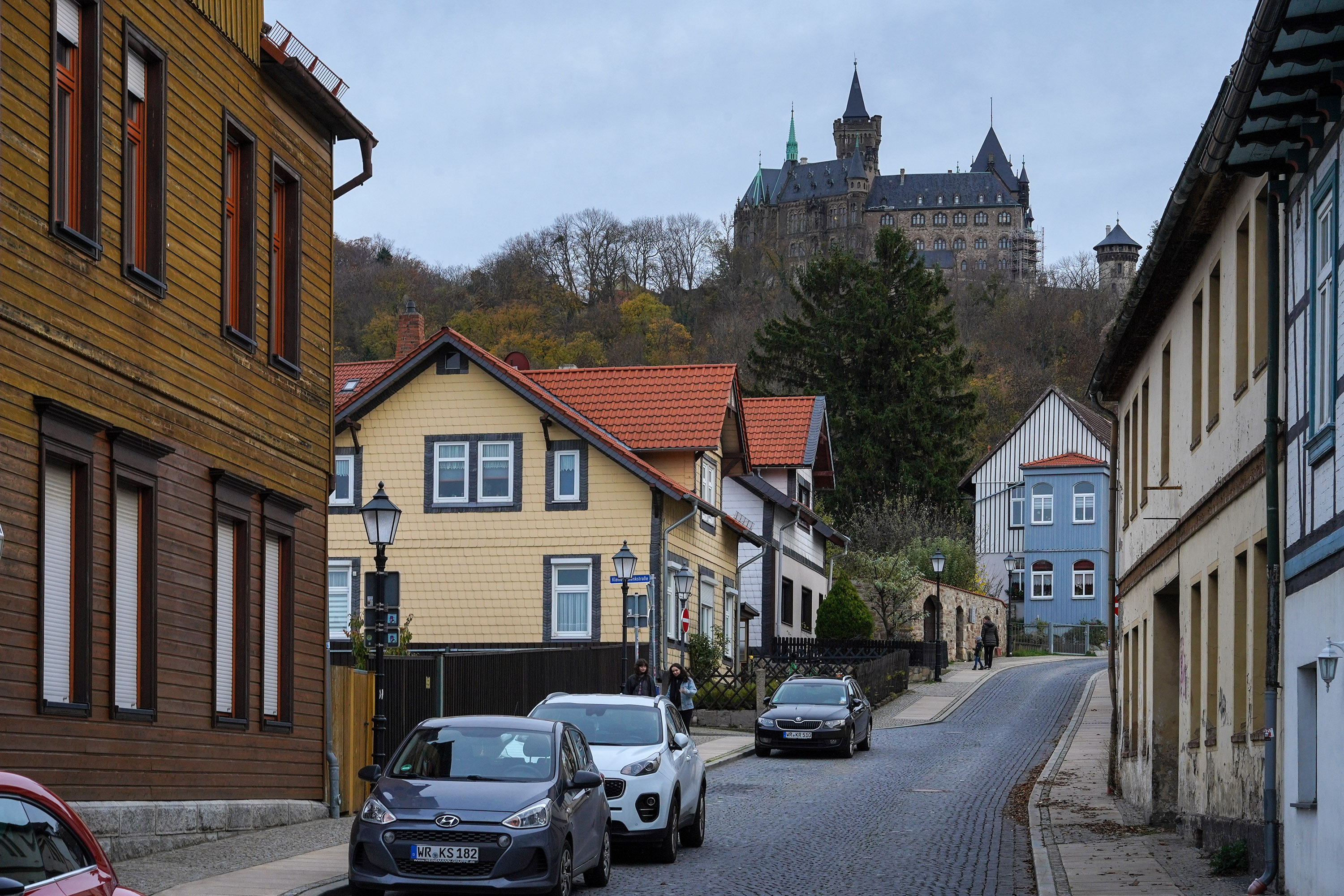 , Игорь Дубровский