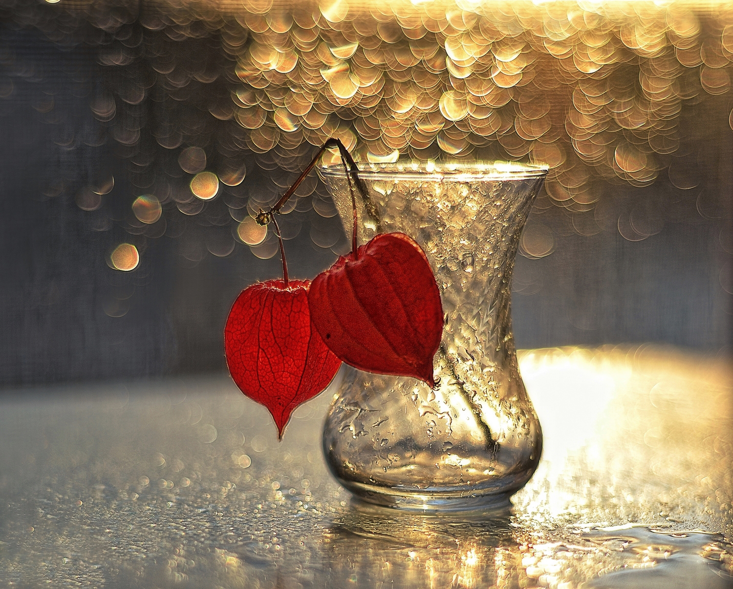 натюрморт,боке,физалис,капли,зима, Наталия К