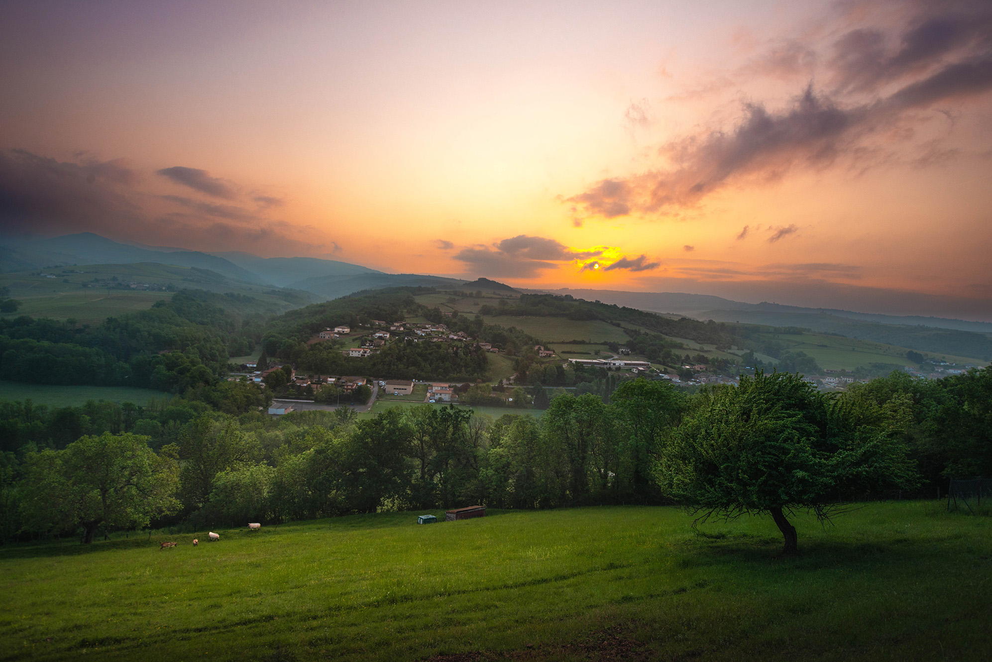 , Gasiorowski Wladyslaw