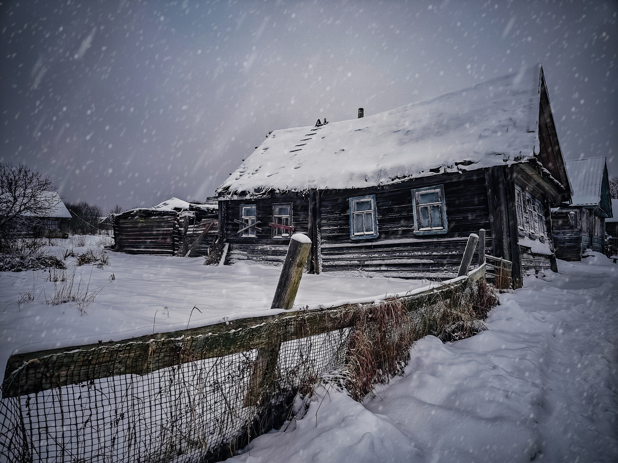 , Елена Литовская