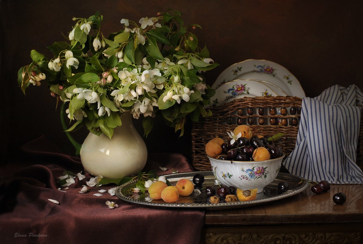 абрикосы, черешня, яблоневый цвет, весна, цветы, Elena Pankova