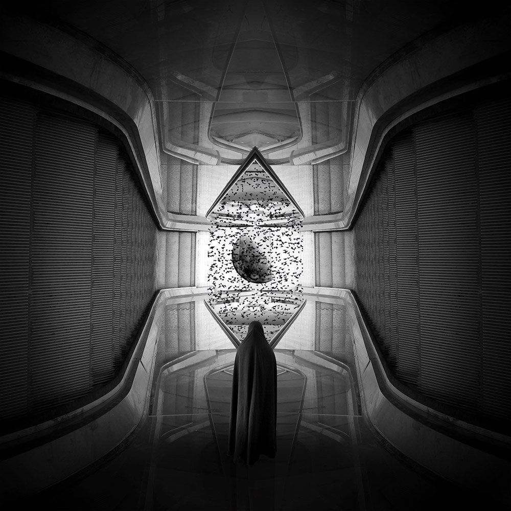 Cretive, edit, fineart, dimension, woman, planet, birds, lines, bnw, , Milad Safabakhsh