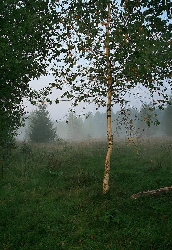 утро, Василий Черкасский