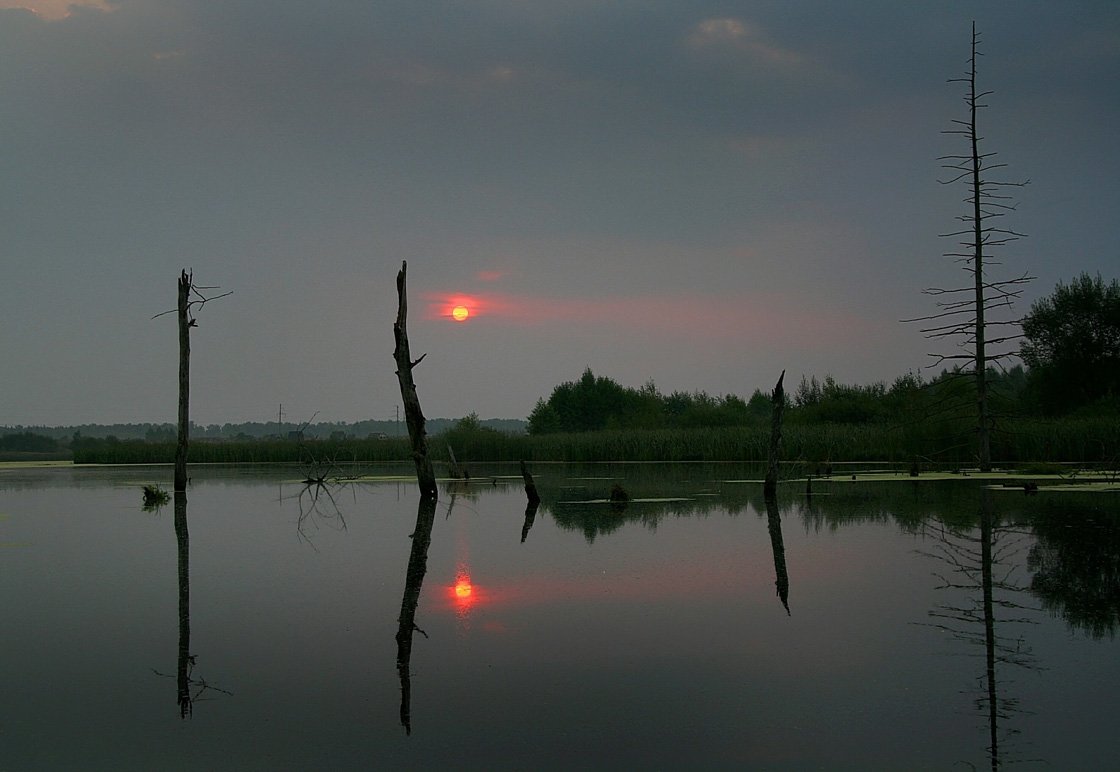 утро, лето, Василий Черкасский