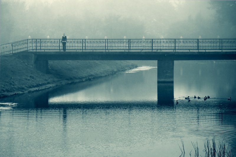 девушка,мост,туман,утки,озеро, dob