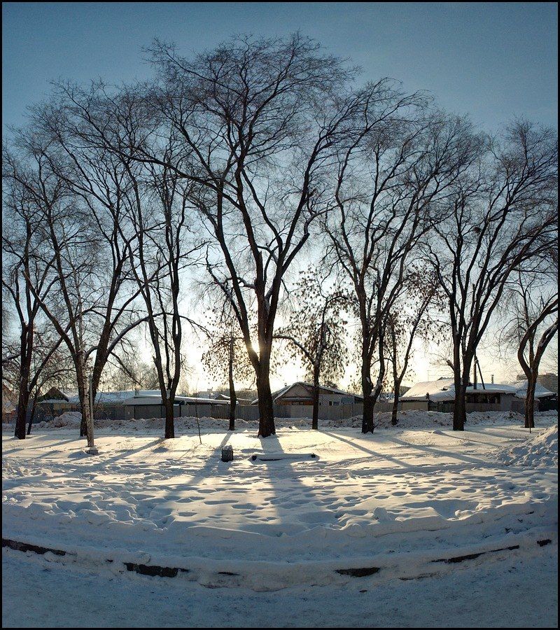 январь, деревья, панорама, tynez