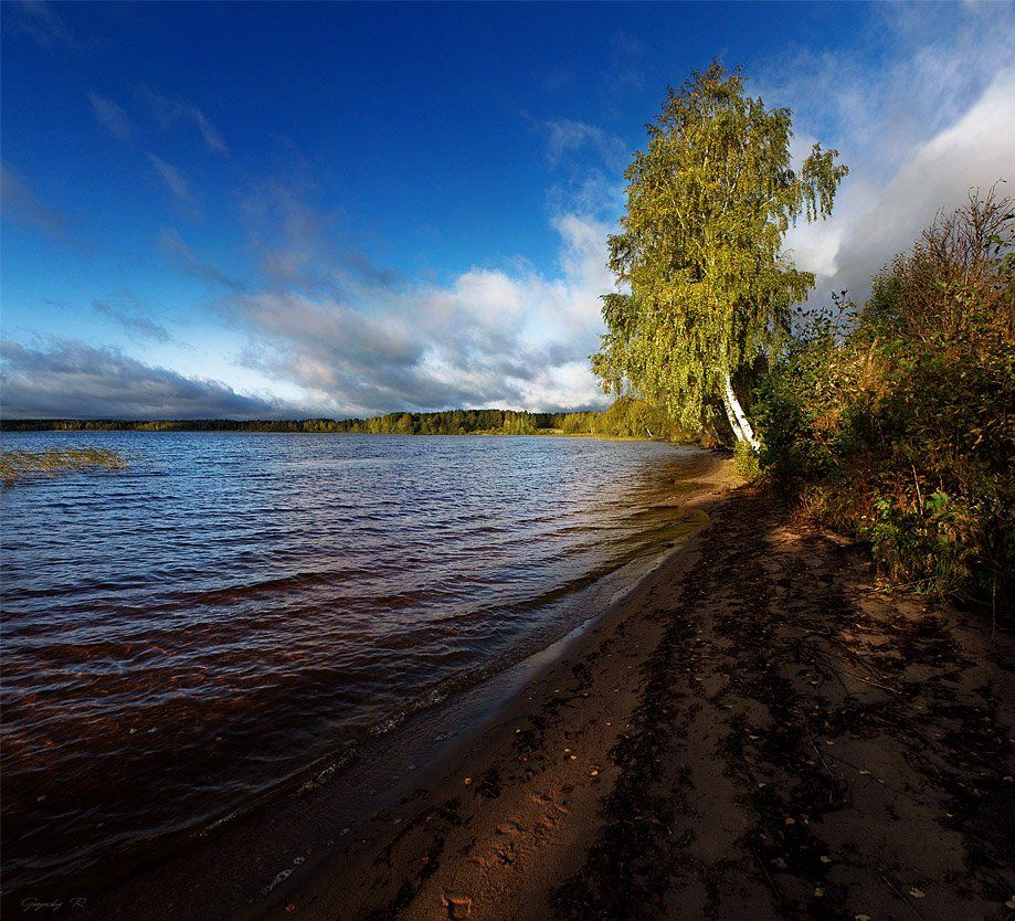 осень,березка,небо,озеро, Roman Goryachiy