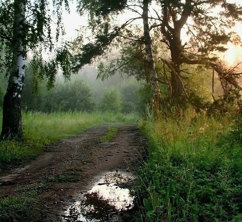 утро, Василий Черкасский