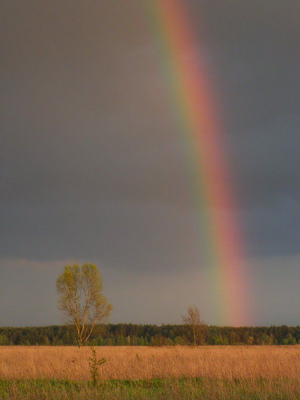 , Александр Ящук