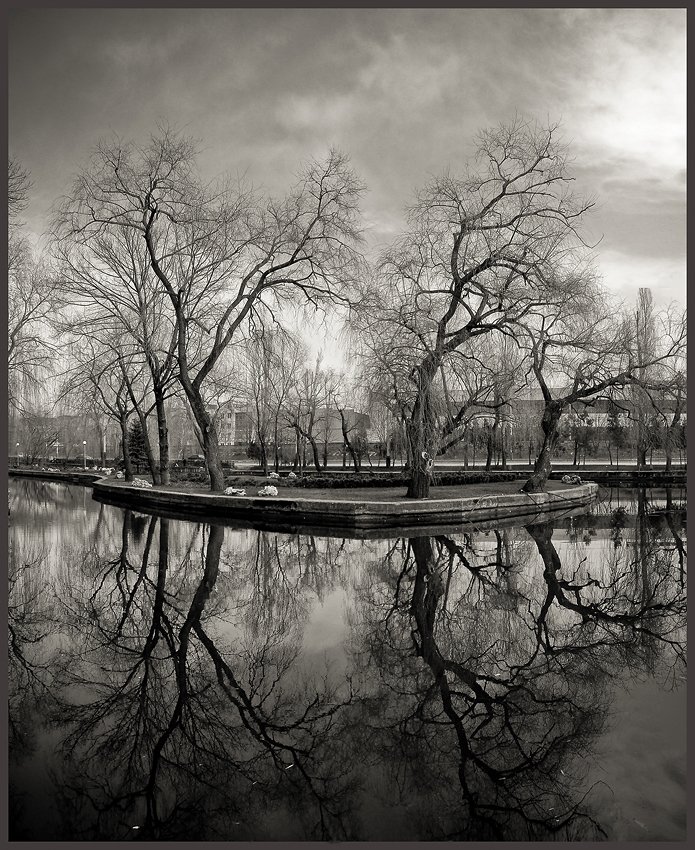 вода, зеркало, дерево, отражение, панорама, город, природа, Владимир Крылов