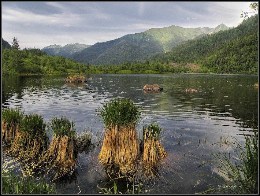горное озеро, горы, тайга, лето, Игорь Глушко