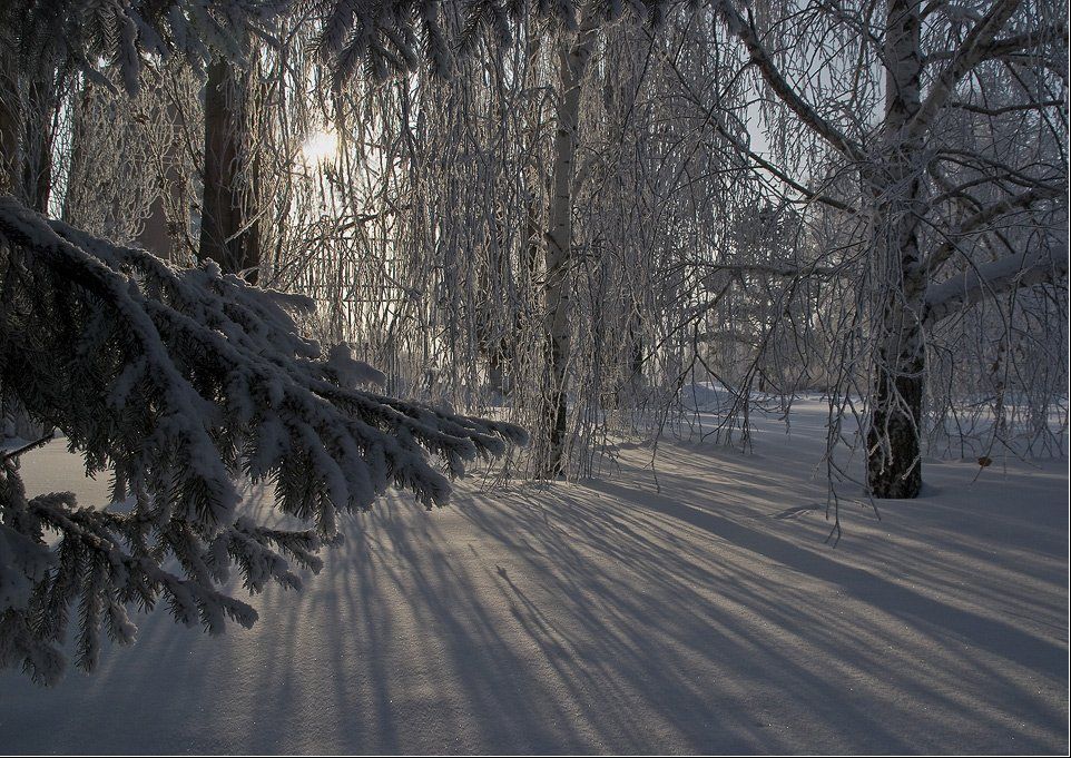 парк,зима,усть-каменогорск, Александр